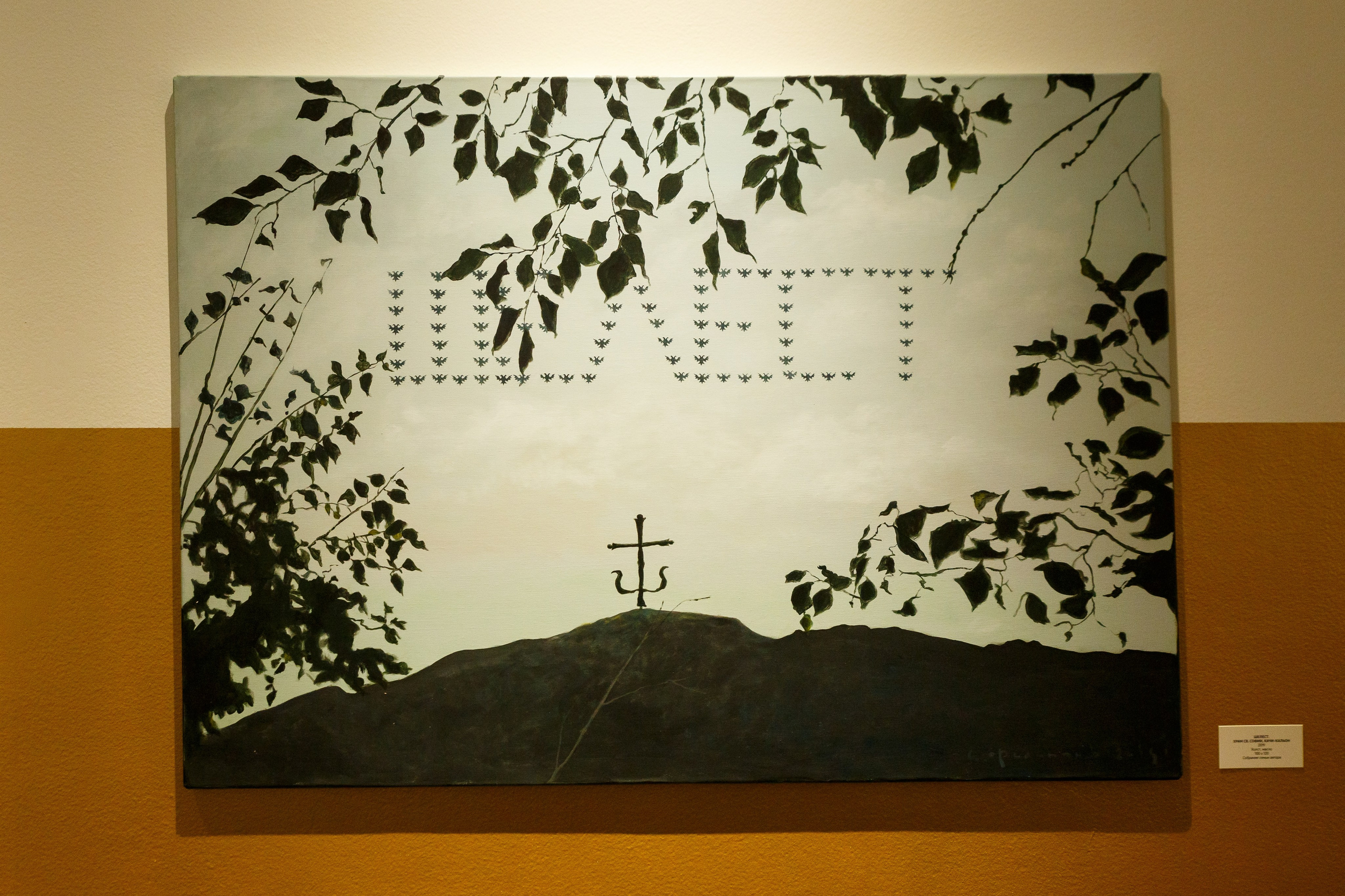 Открытите выставки Небесная География или разбор полетов Андрея Филиппова. Фотограф Иван Недорез