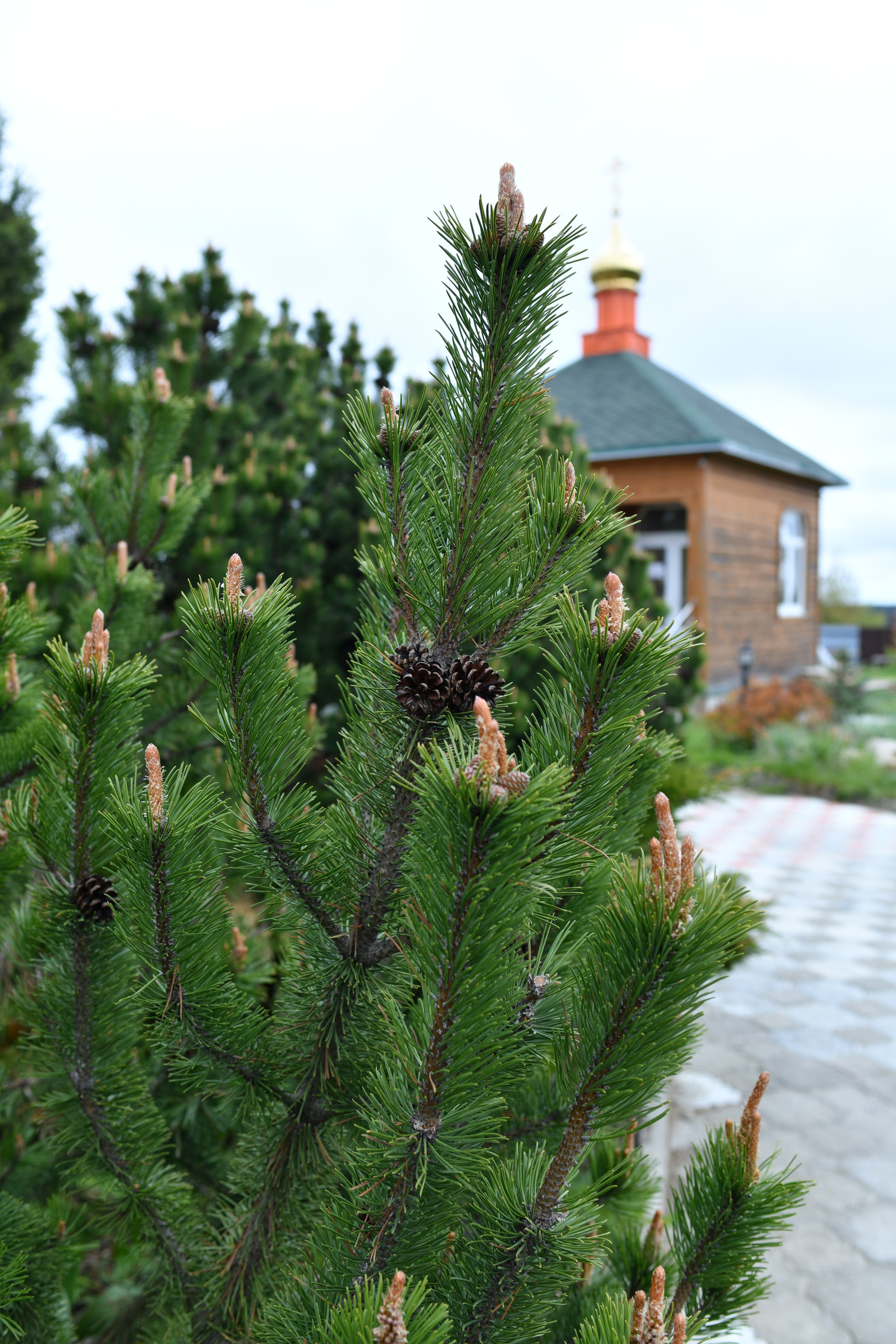Крещение Феди село Озерецкое Никольская церковь. Свадебный и портретный фотограф в Москве Галина Борисова