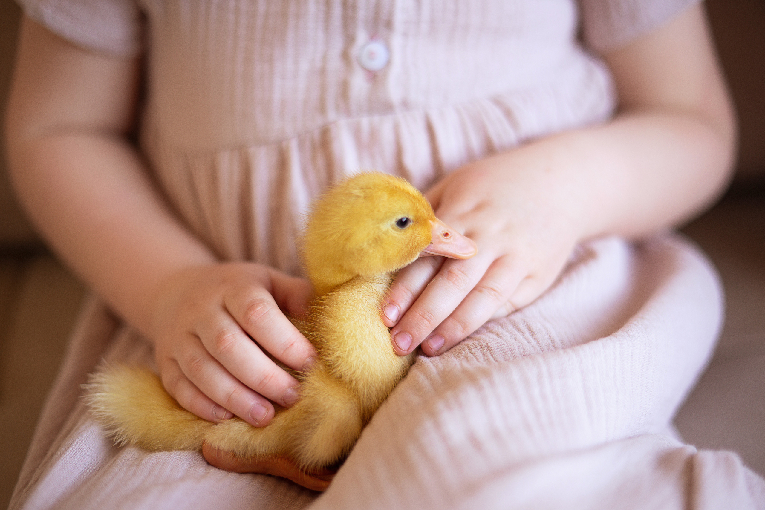 Любаша. Семейный фотограф в Санкт-Петербурге Саша Кактус