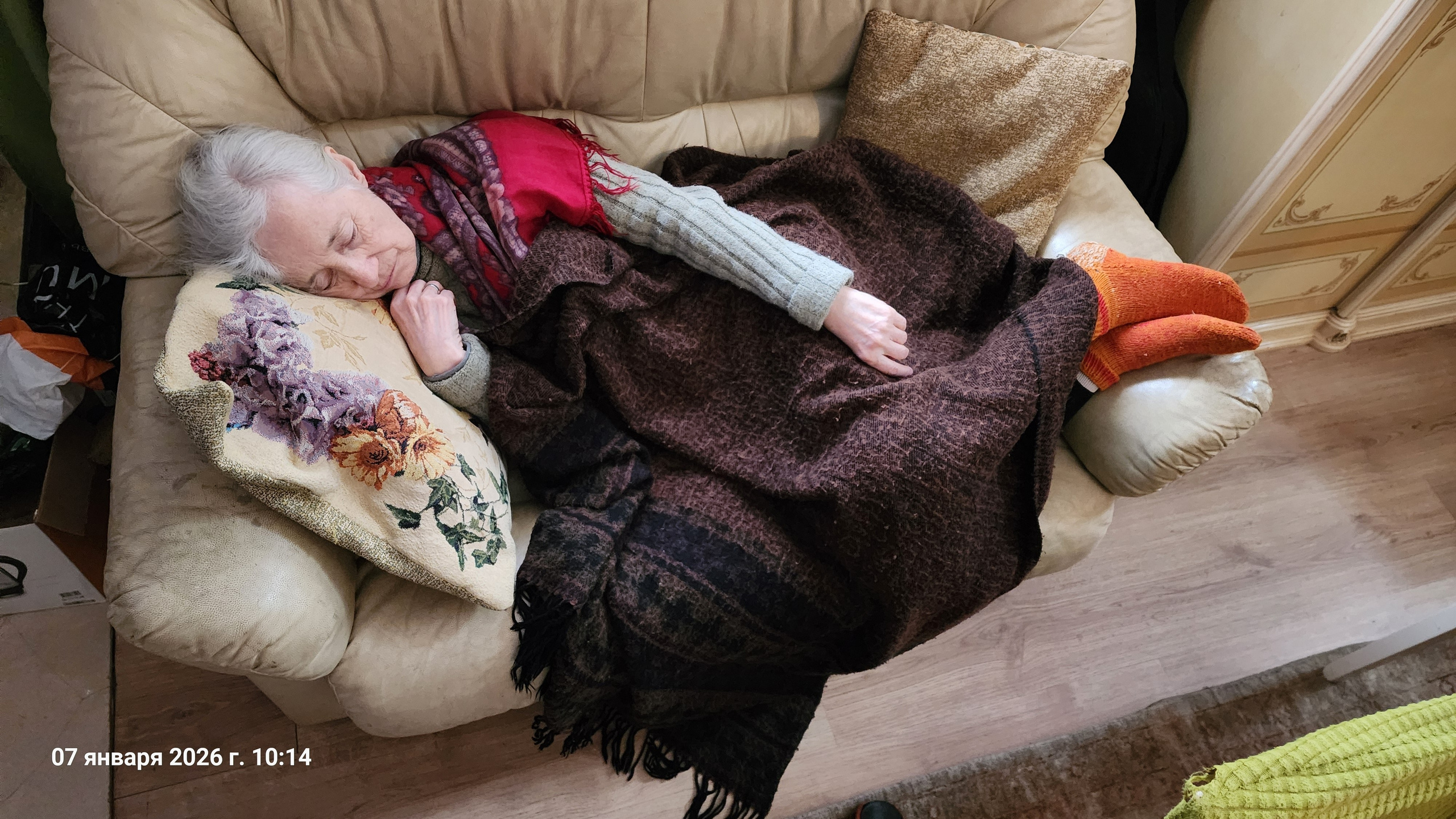 Рождество Христово 2026. Собор Отрасли