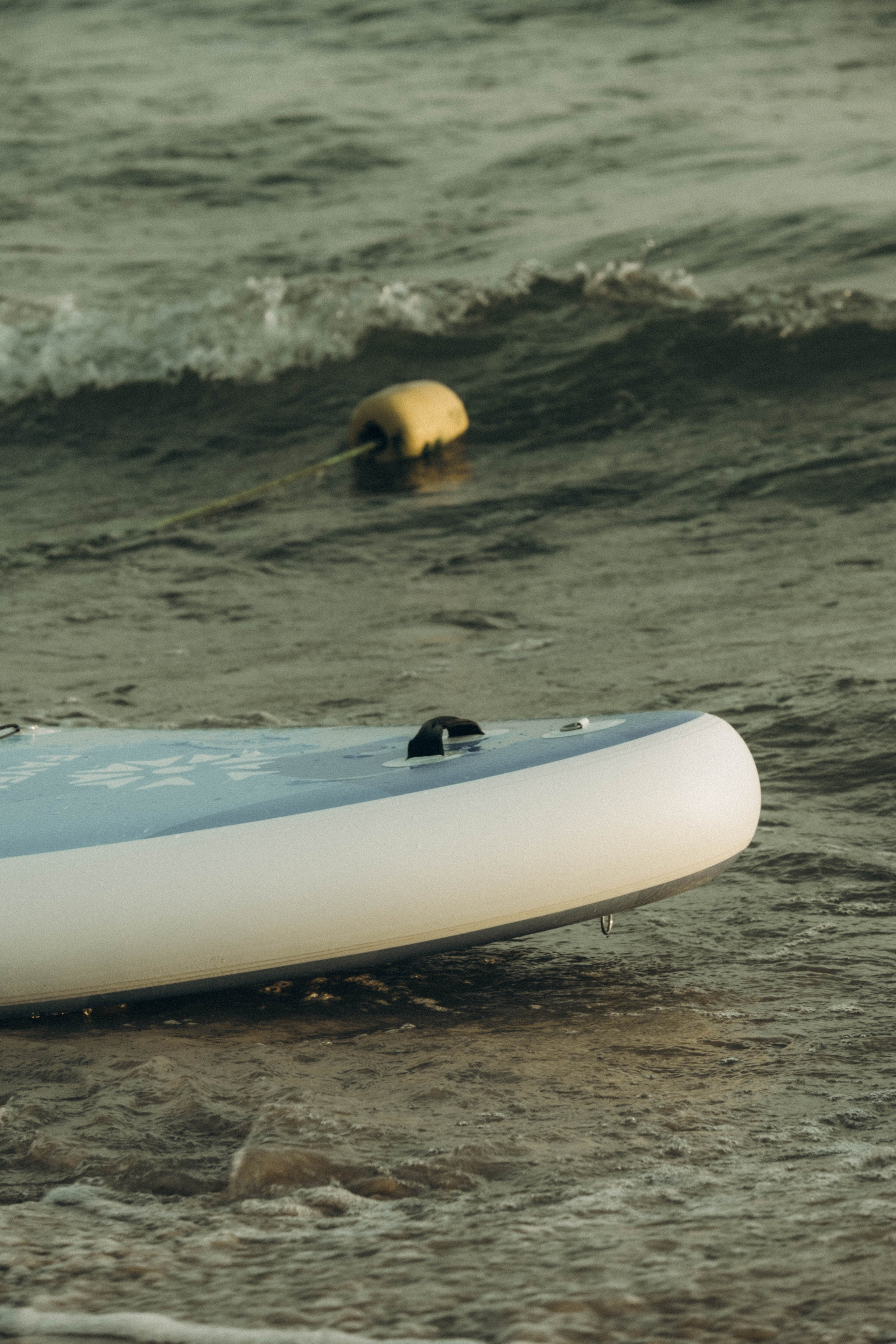 Июльский вечер на берегу черного моря. Профессиональный фотограф, Санкт-Петербург — Виктория Богомолова