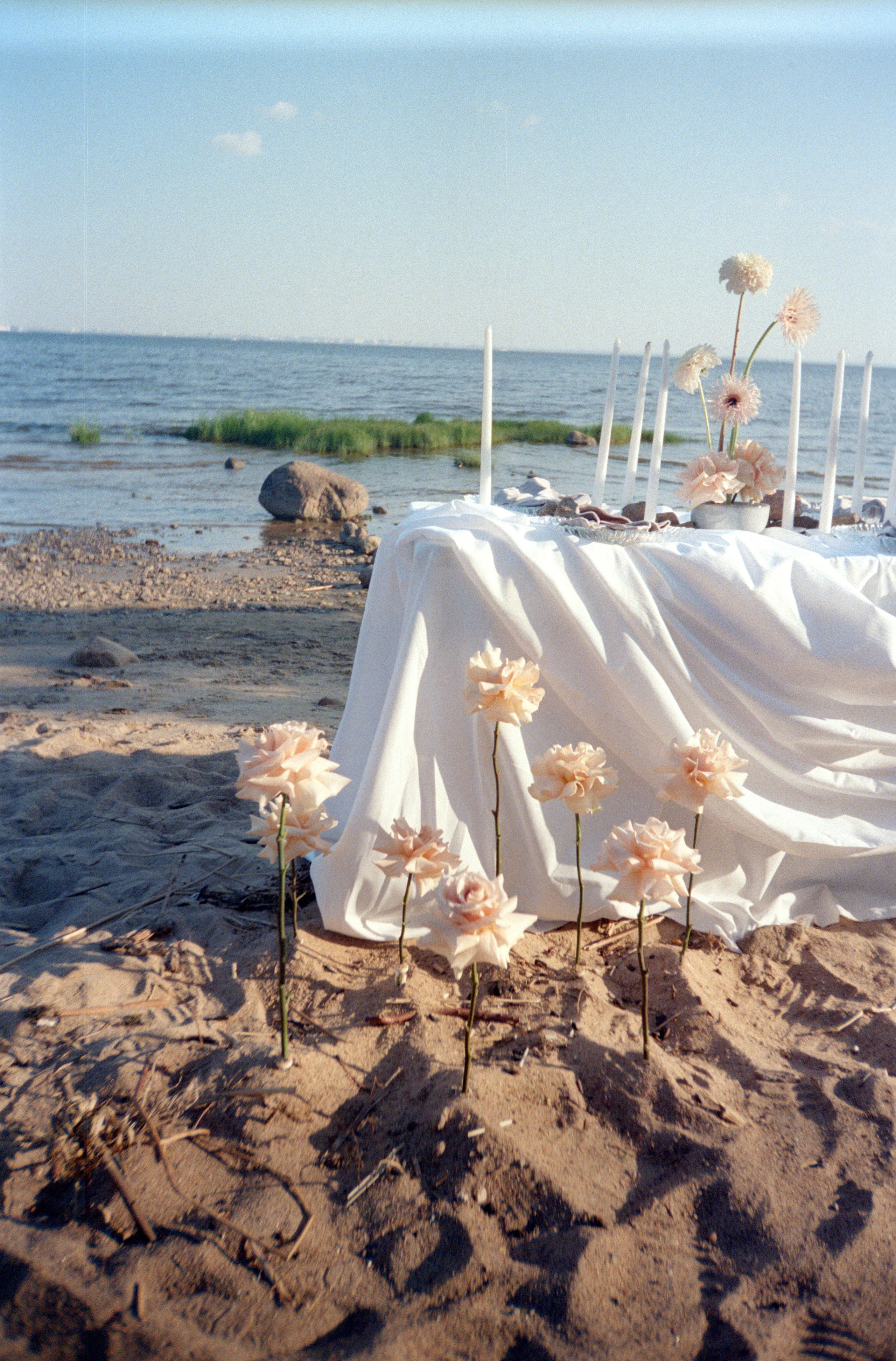 УСЛОВИЯ СВАДЕБНЫХ СЬЕМОК. Профессиональный фотограф, Санкт-Петербург — Виктория Богомолова