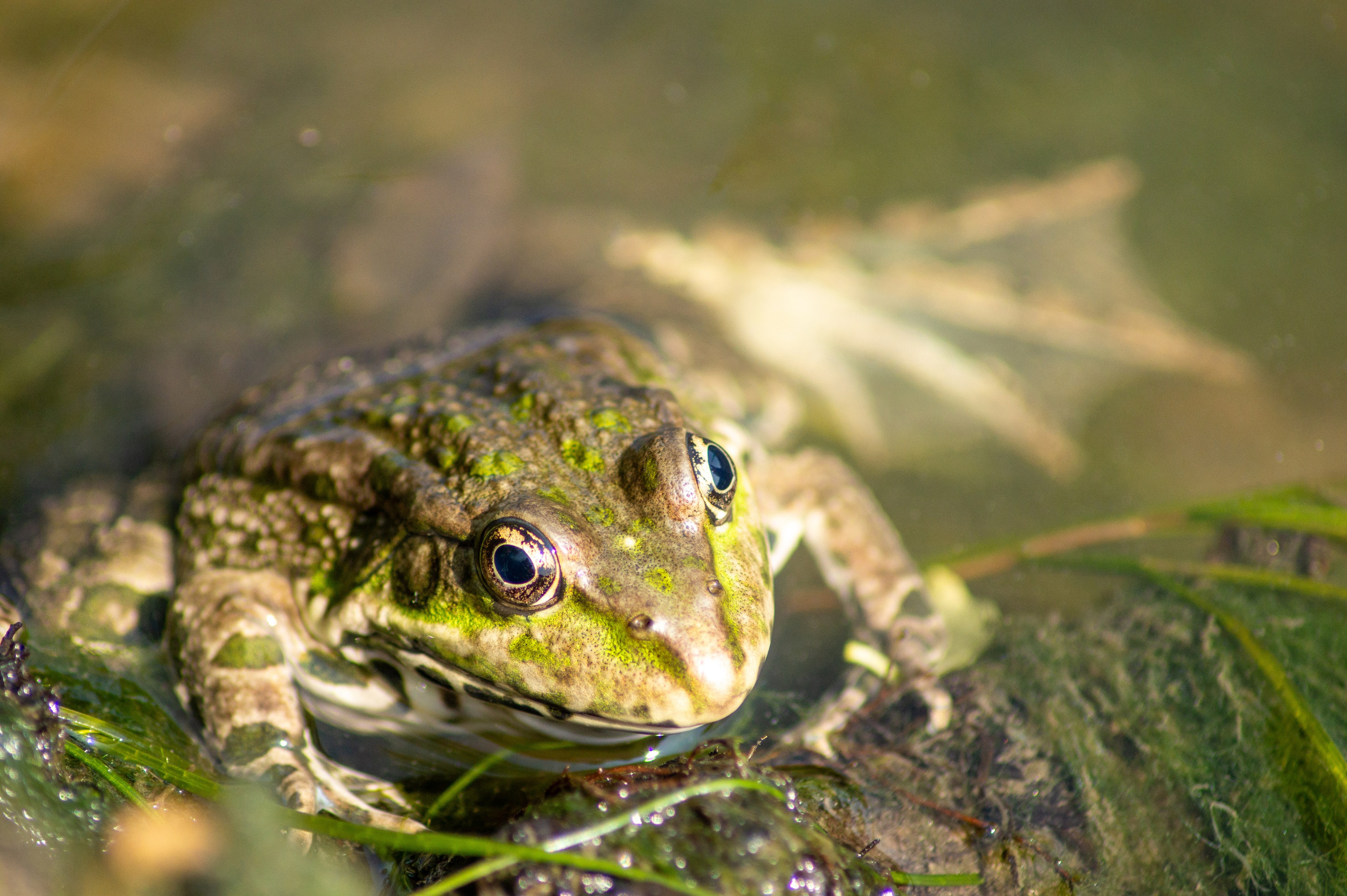 Семинар по переправам 2025