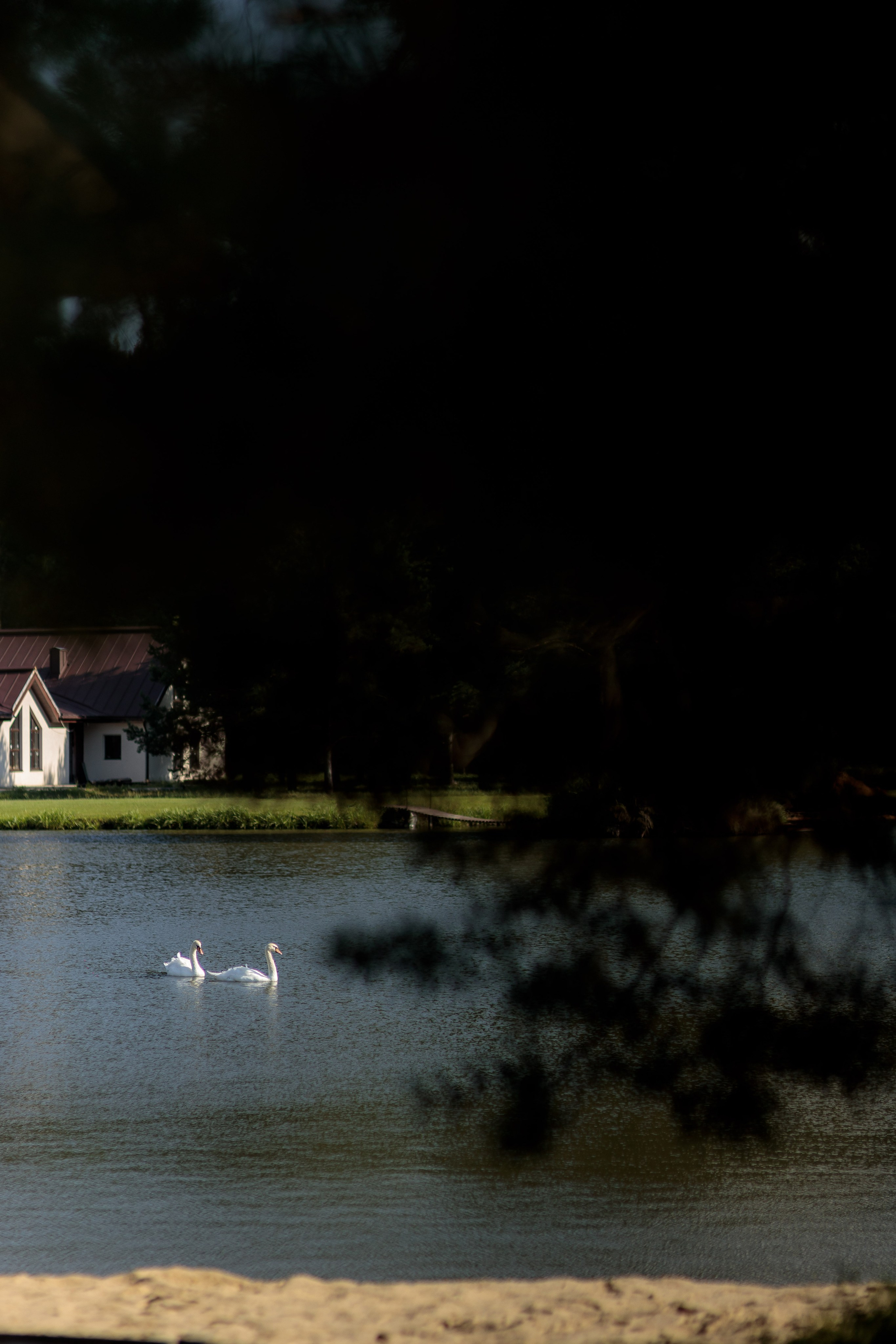 Юлия и Илья. Фотограф Дарья Норкина