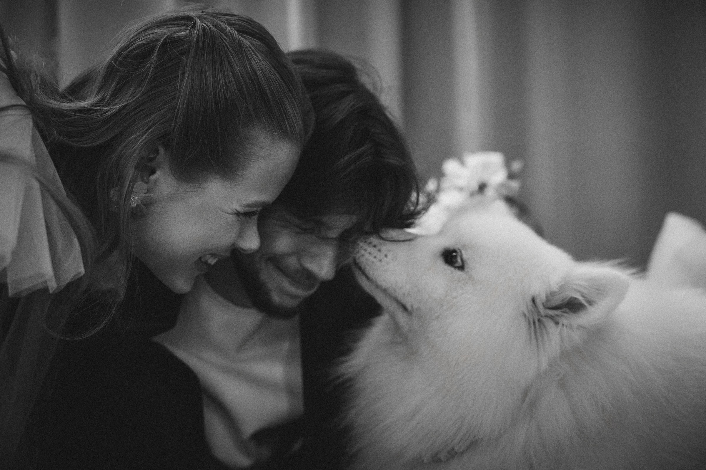 Д ♡ Е — Пушистая верность и клубника на торте. Свадебный и портретный фотограф в Москве, Светлана Янковая