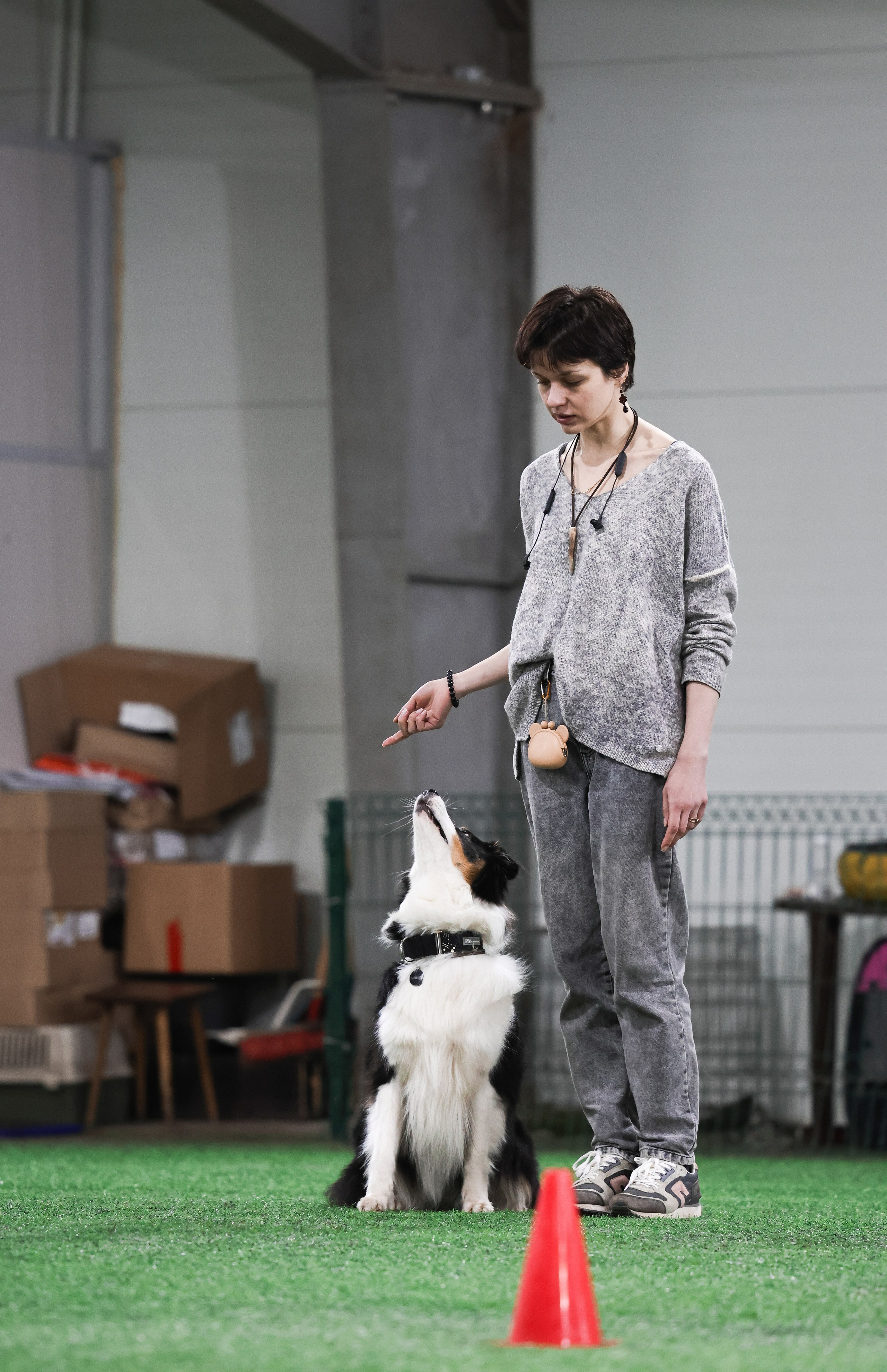 Рави. BLGKV питомник собак