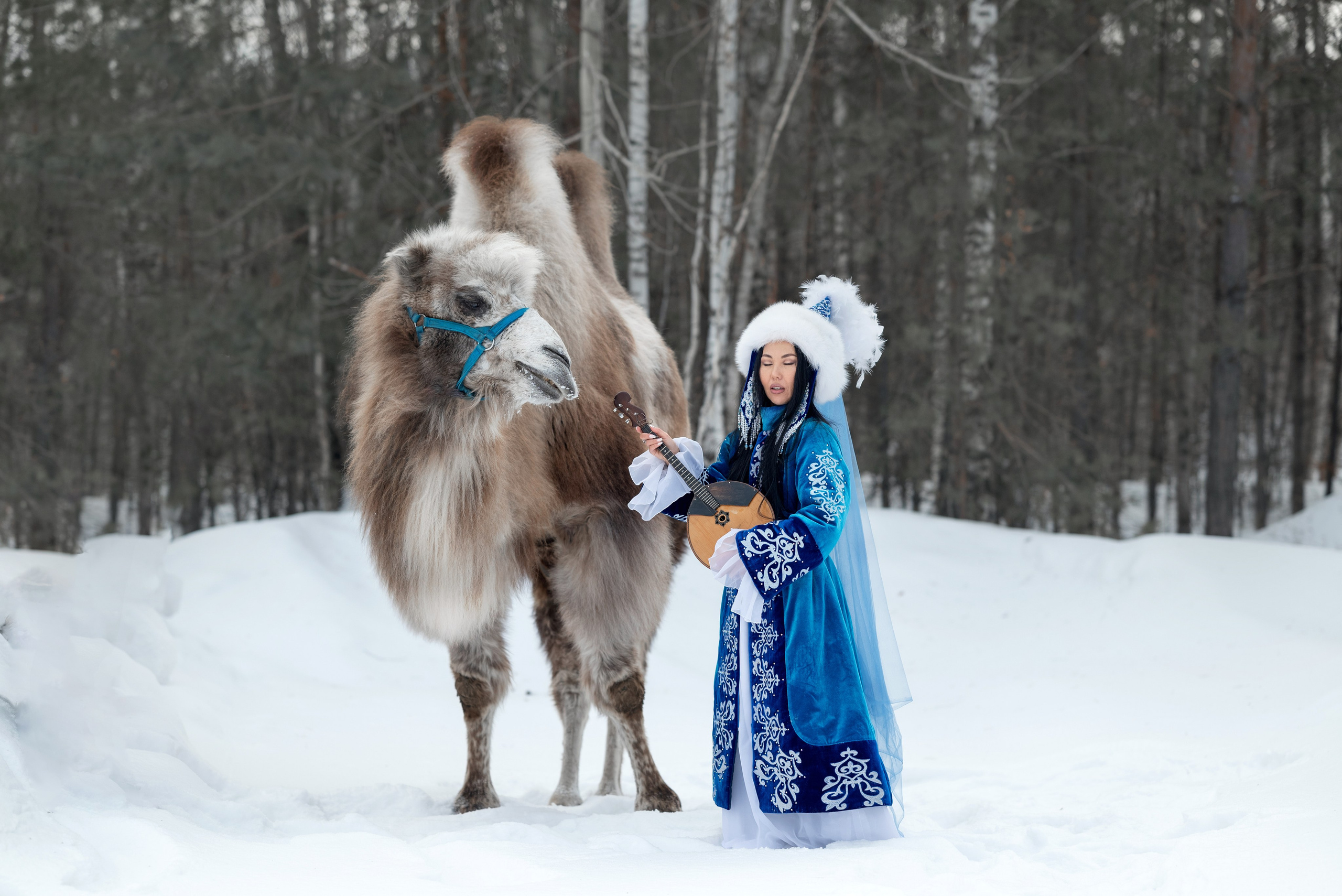 Казахская красавица и верблюд. Фотограф в Тюмени Голышева Елена