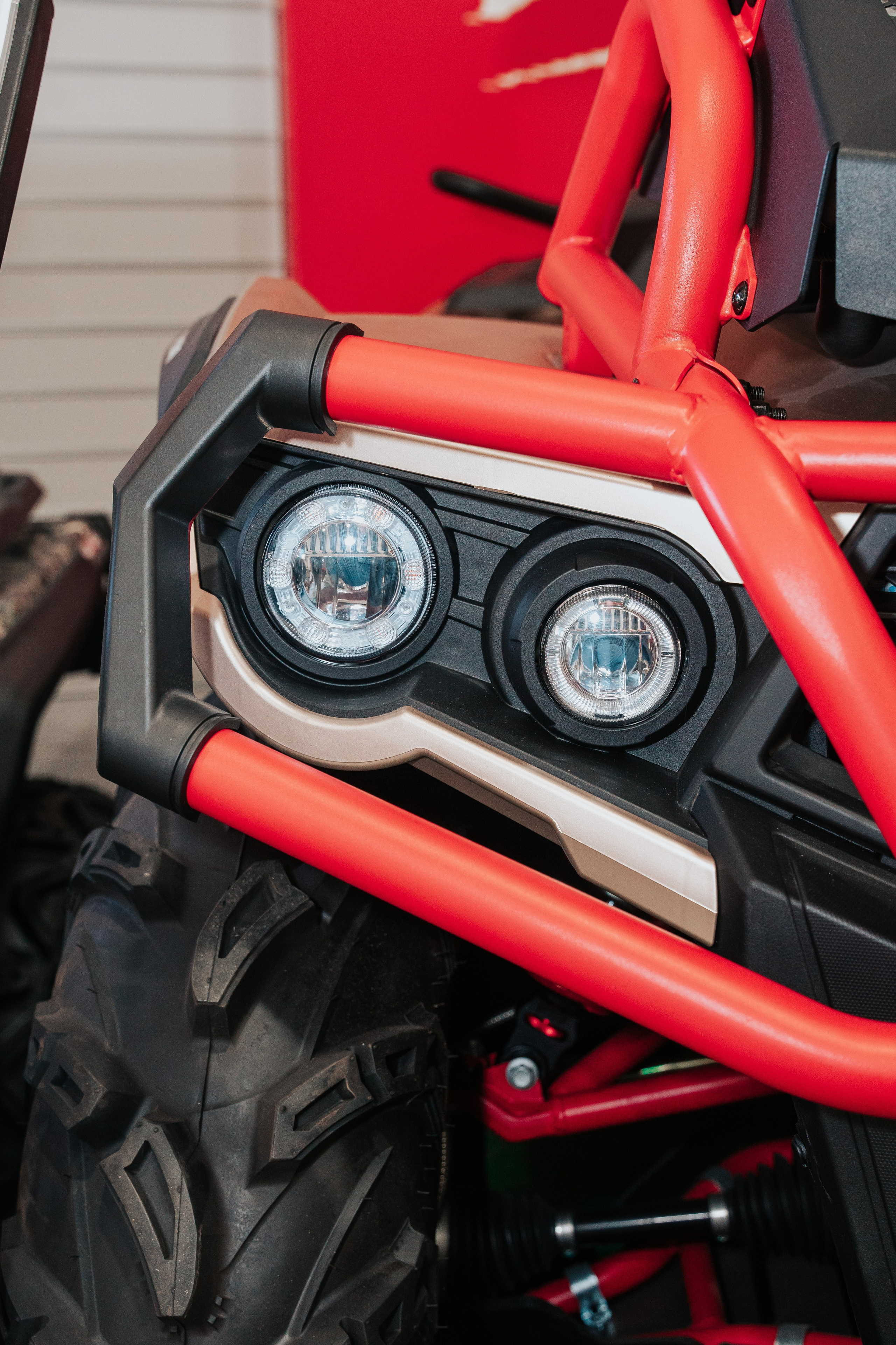 GLADIATOR. Фотограф Хабаровск