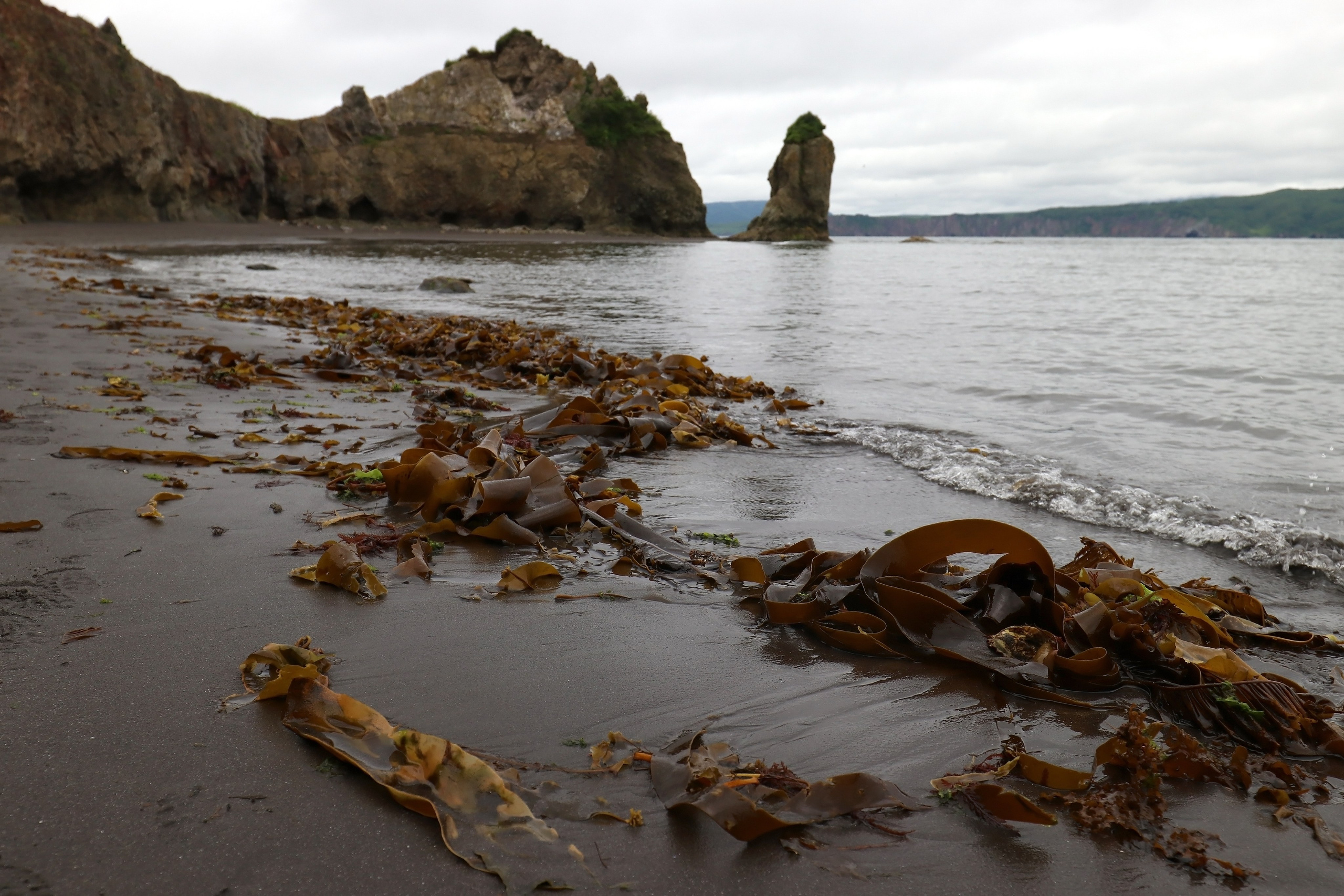 Камчатка и о. Парамушир. Июль 2024. Путешественник-фотограф из Санкт-Петербурга Татьяна Свистулина