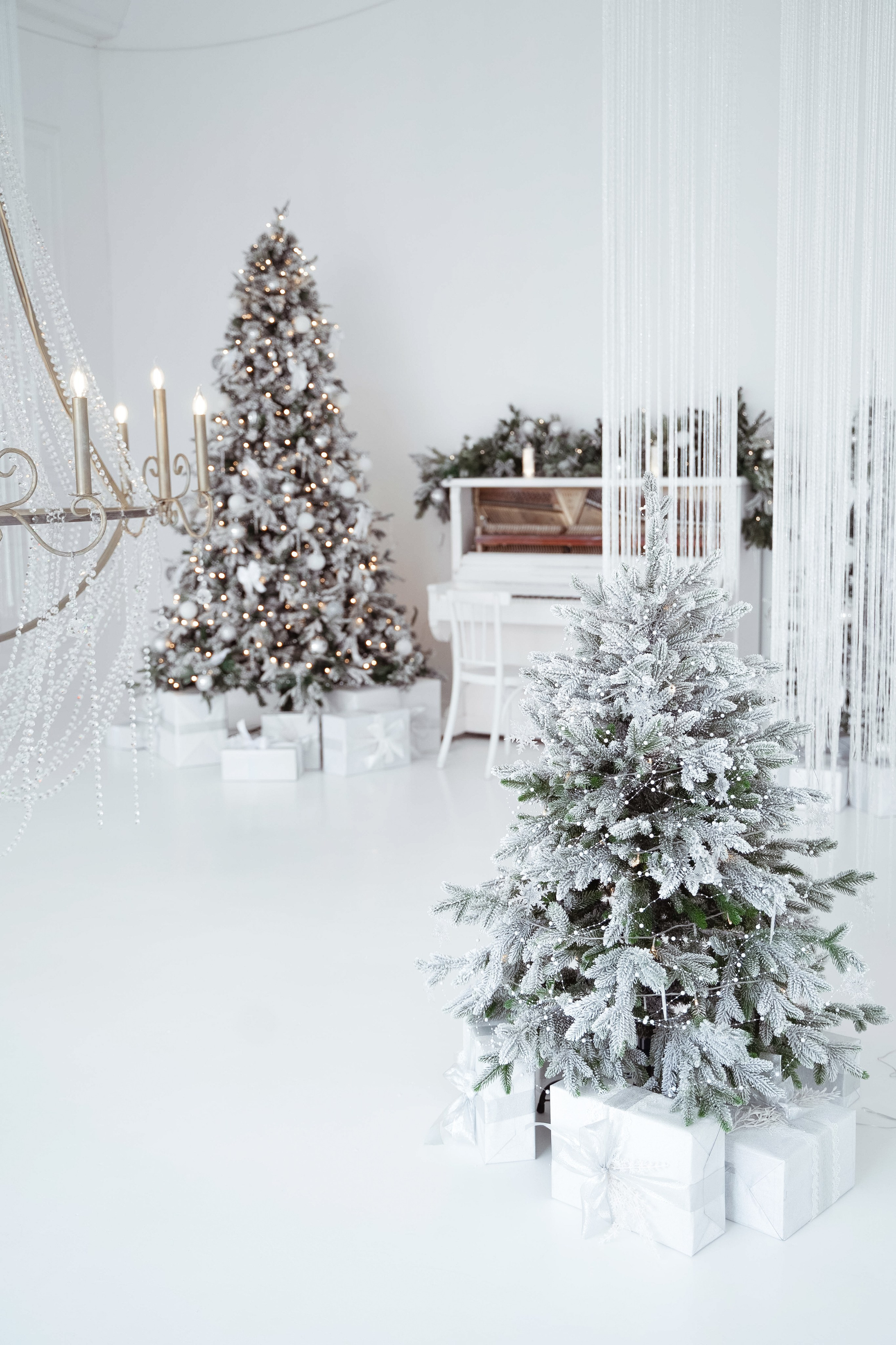 Зал Ренессанс. Фотограф г. Хабаровск. Семейные и индивидуальные съёмки