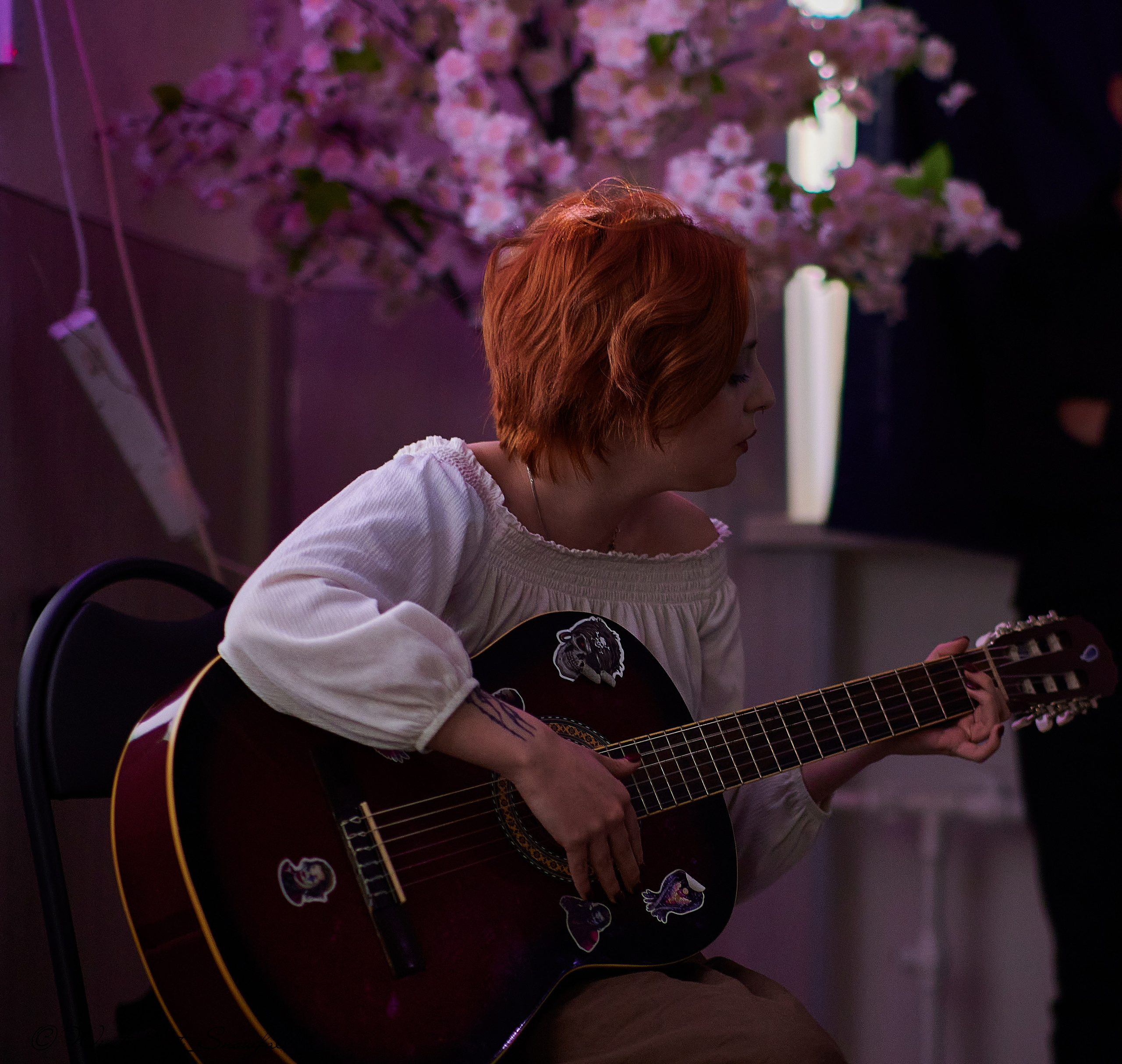 Крик (Чайка 11.05.24). Портретный и репортажный фотограф в Магадане Андрей Нефедов WinterCatPhoto