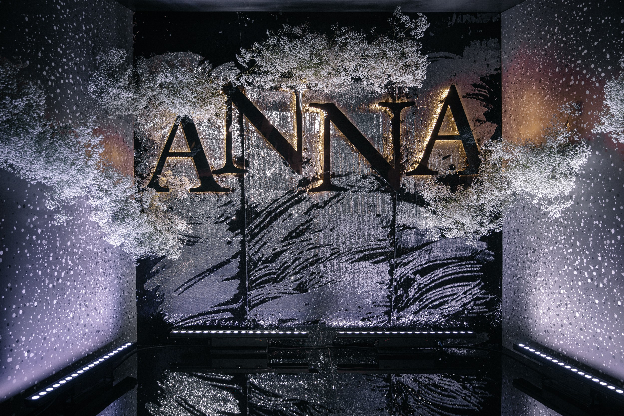 День рождения Анны. Агентство по организации мероприятий