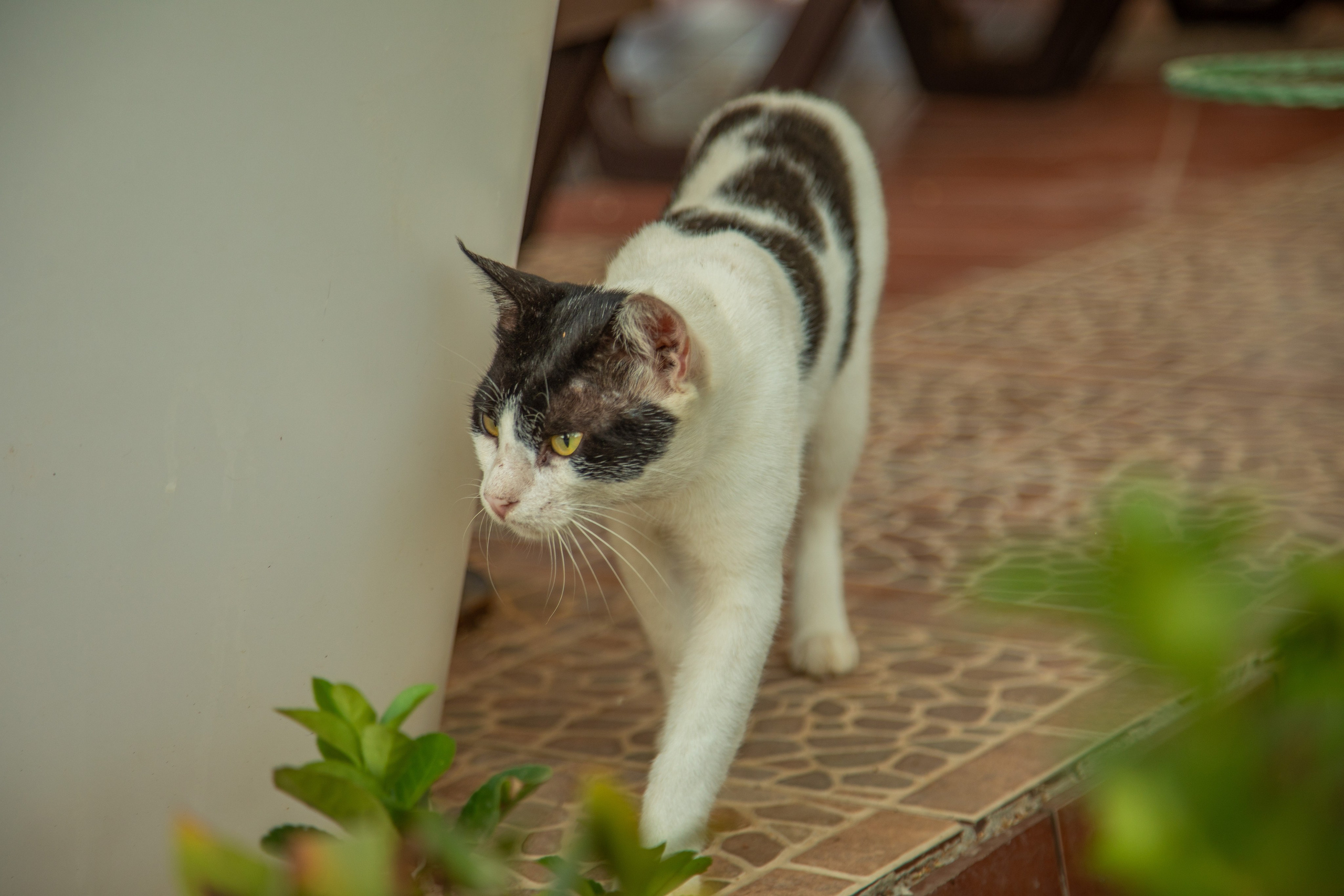 Про жизнь. Фотограф Сергей Ловкий