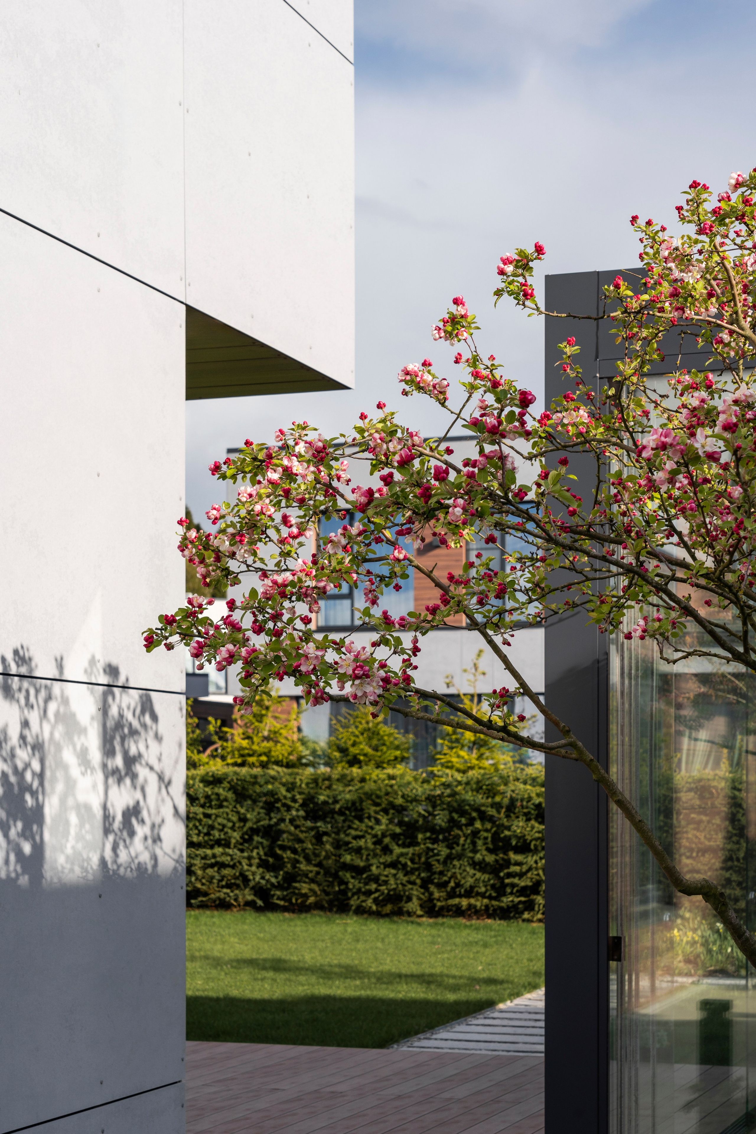 Blooming in the garden, Moscow region. Артамонов Александр | Архитектурный и ландшафтный фотограф