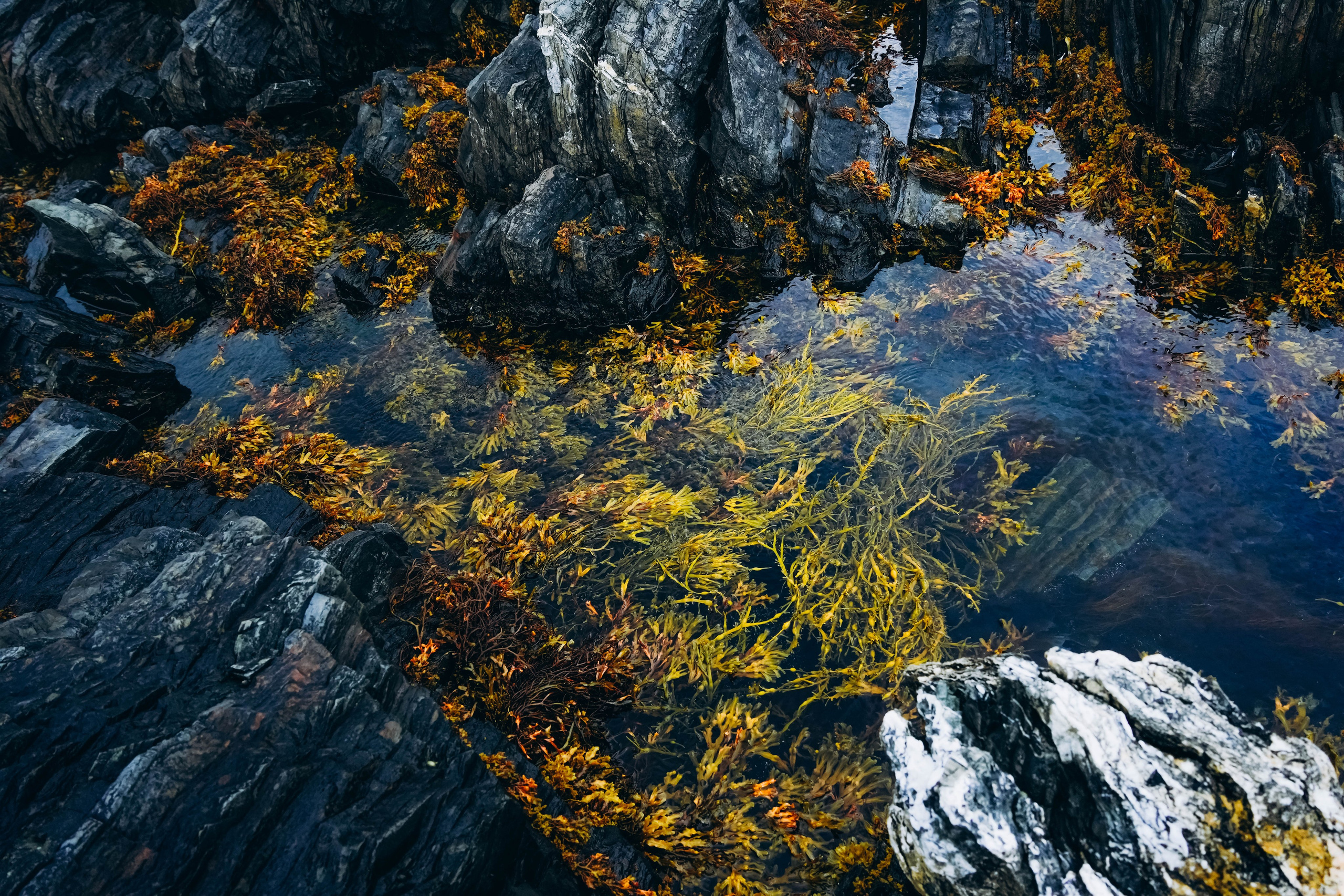 СЕВЕР. Event фотограф Степанова Александра