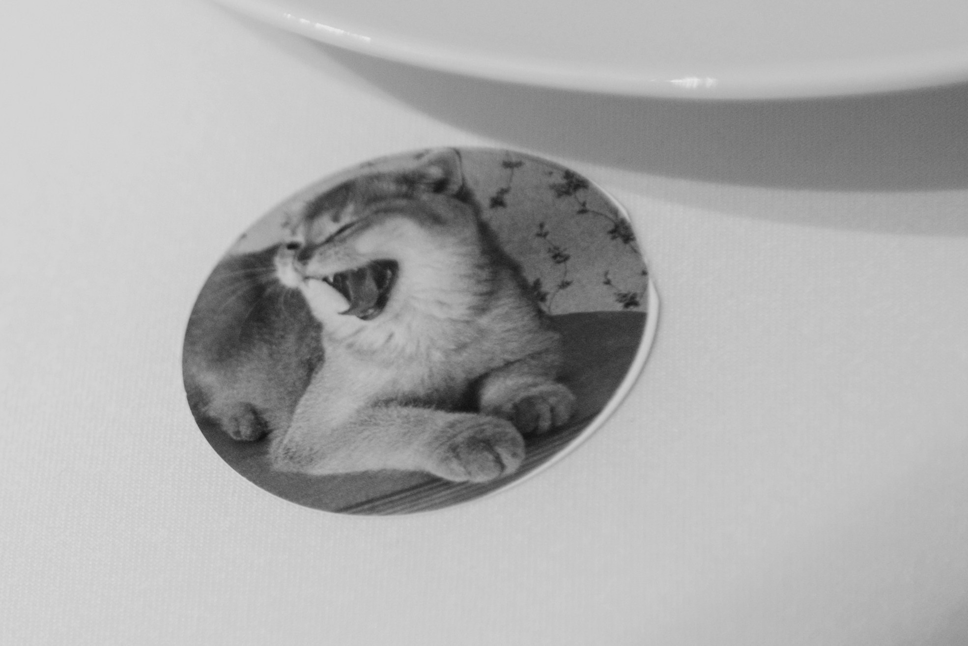 Павел и Мария (10 часов). Фотограф в Томске Мария Март