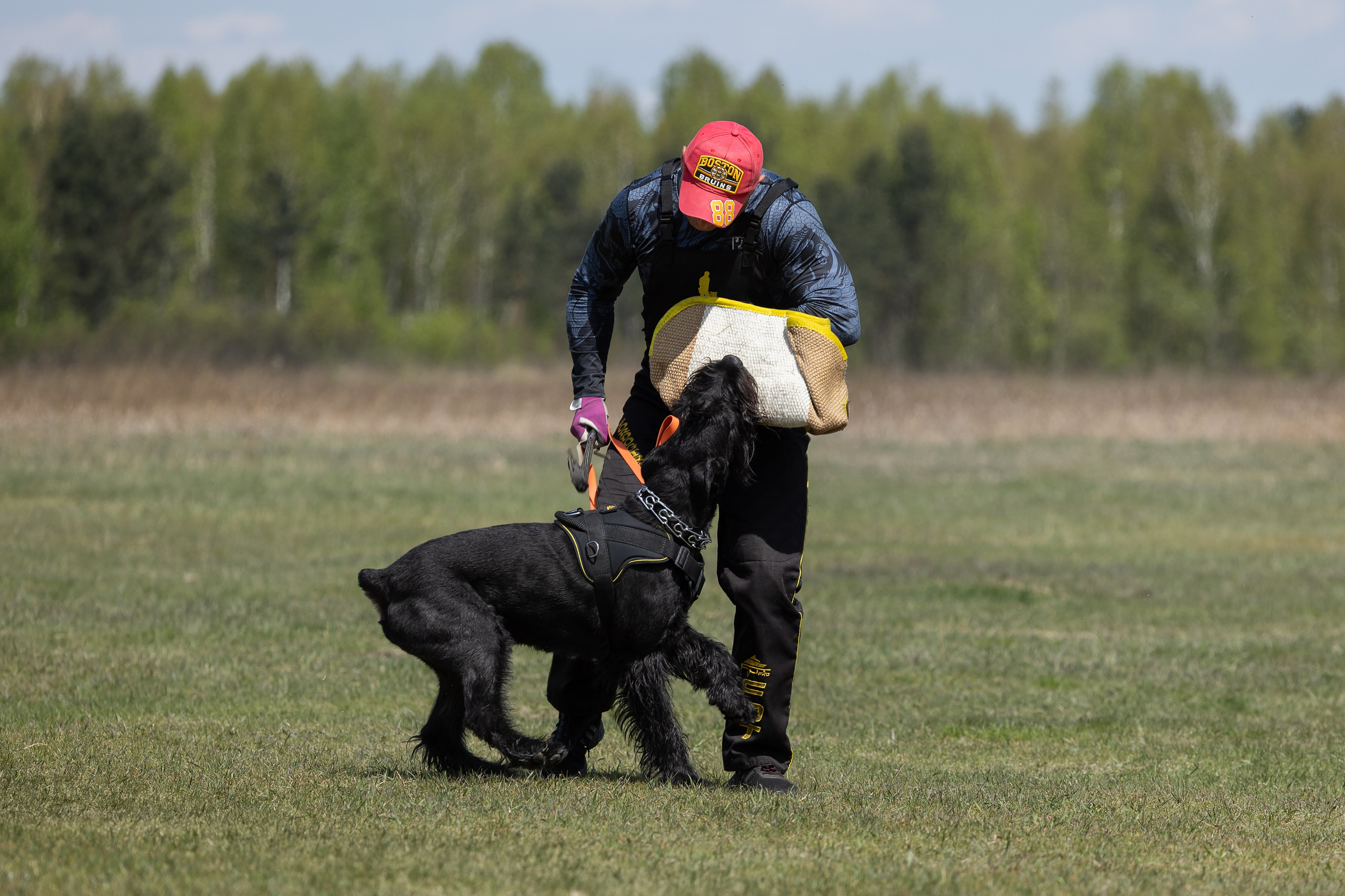 Тренинг по защите с Юрием Бояркиным г. Иркутск. Фотограф-анималист|Иркутск