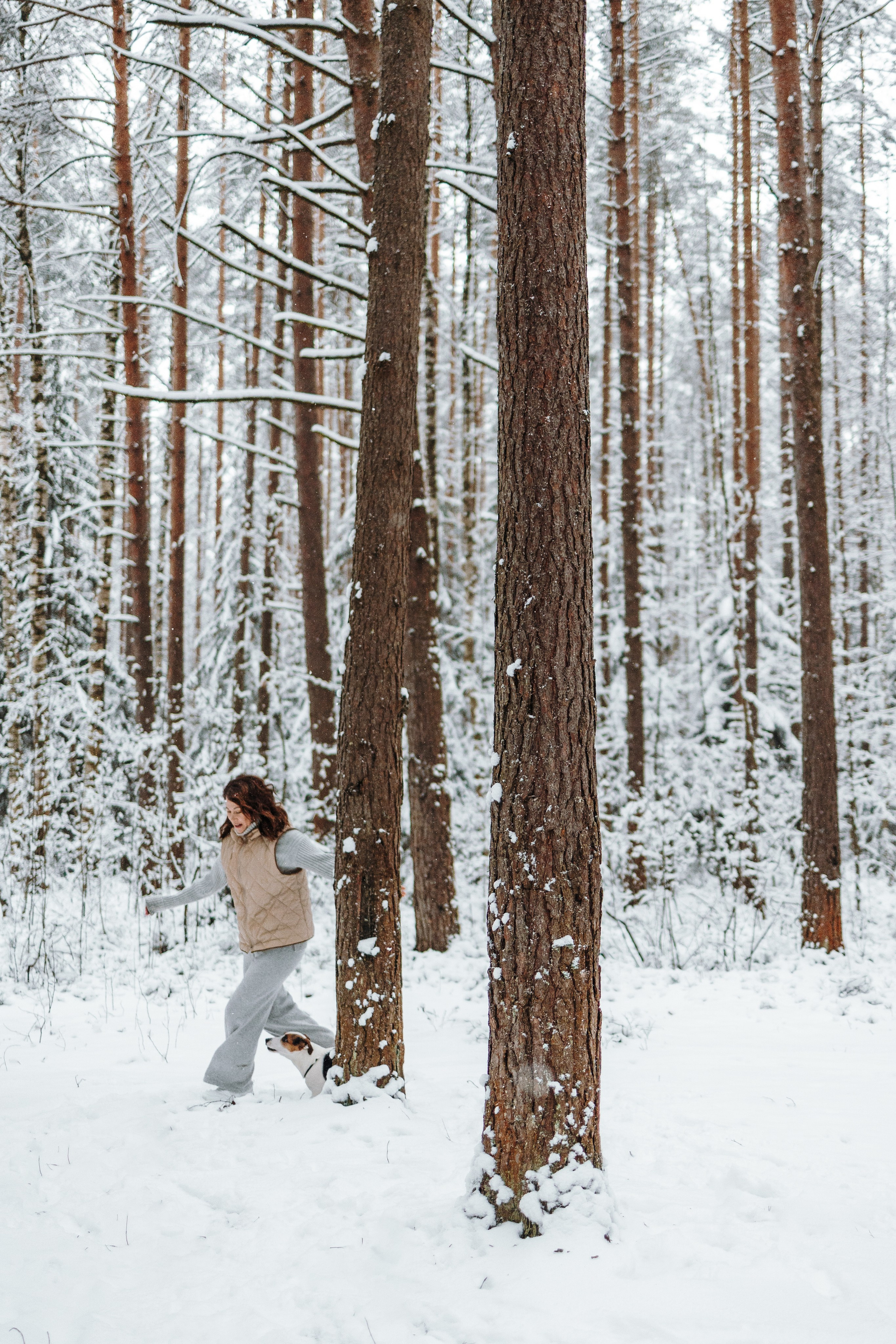 Мики и его семья. Фотограф — Анималист | Санкт-Петербург