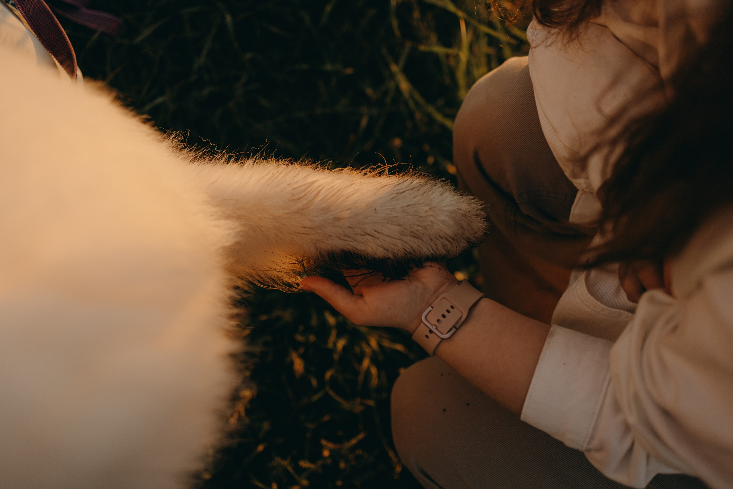 Танго и его семья. Фотограф — Анималист | Санкт-Петербург