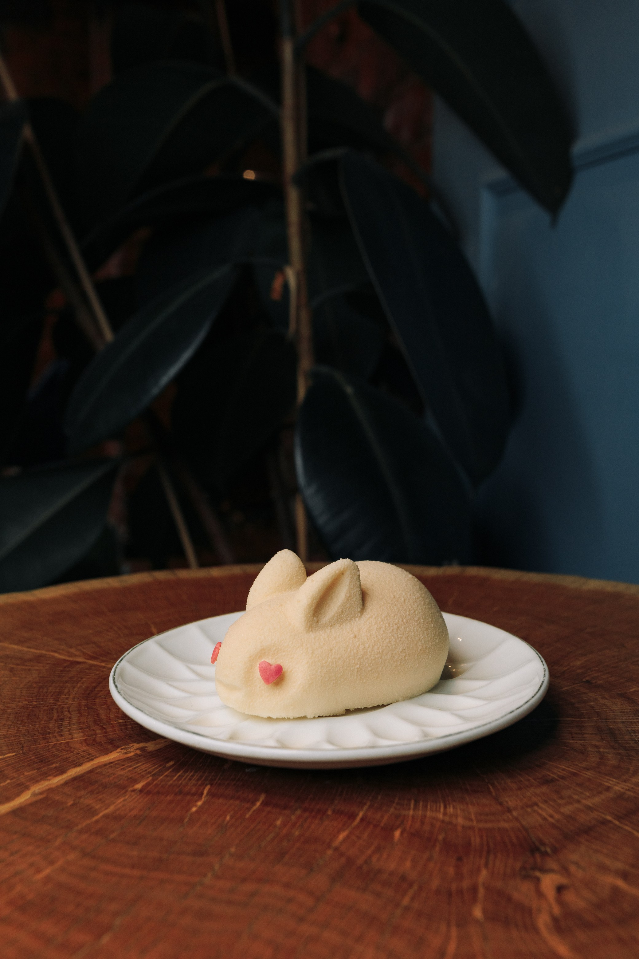 Business. Фотограф в Тюмени