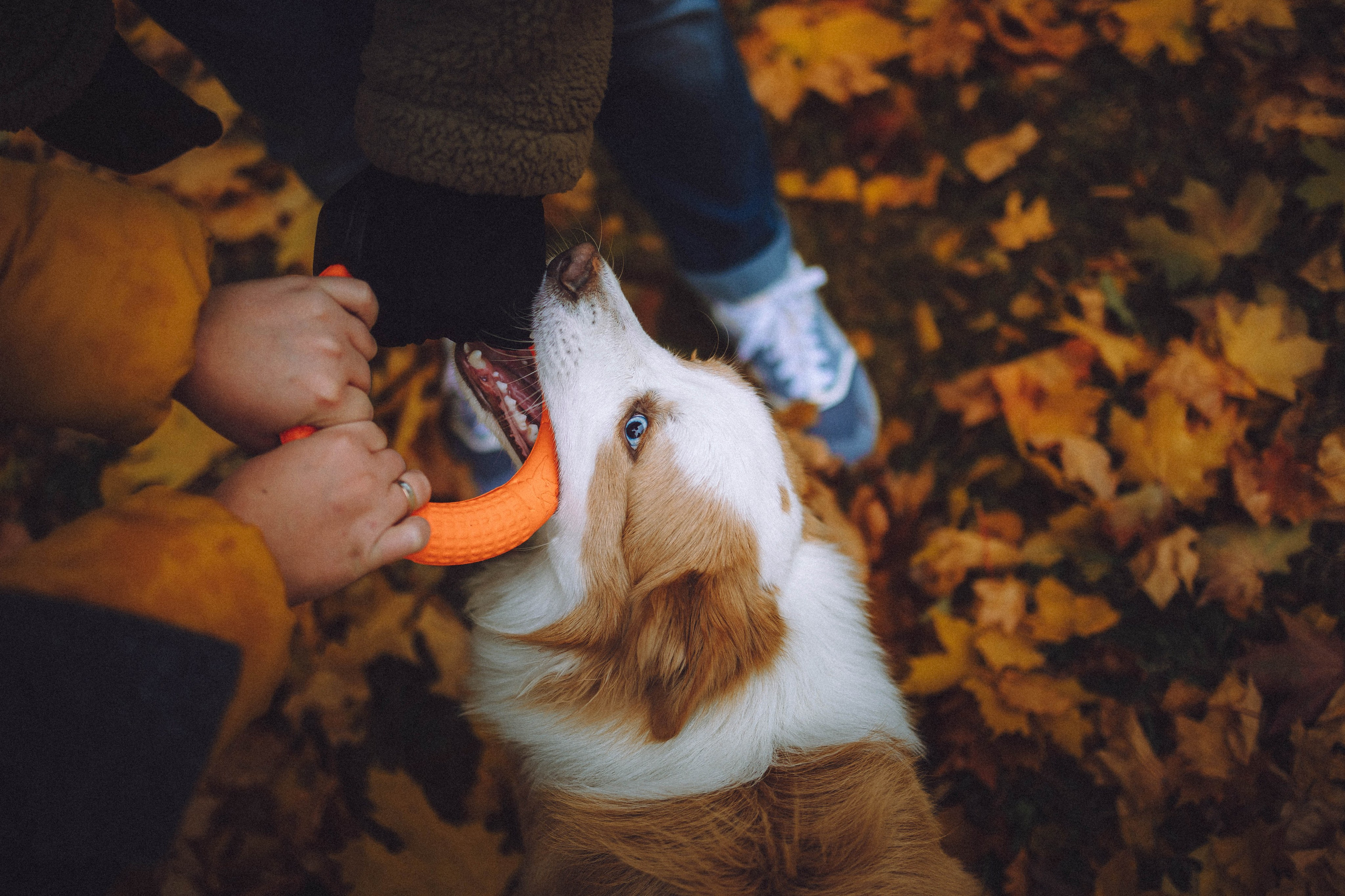 Алина, Витя и Асти