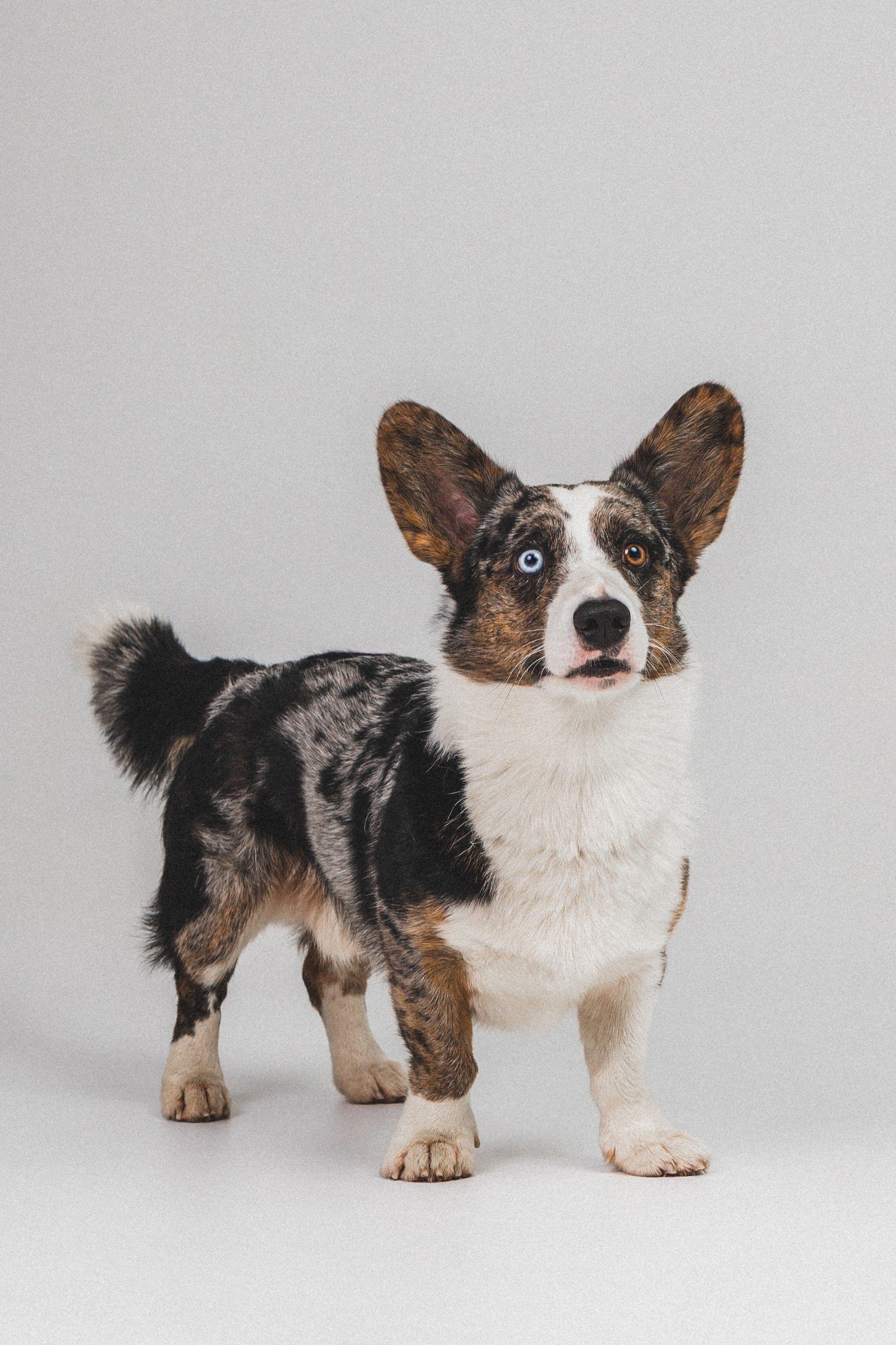 Анатолий и Рагнар