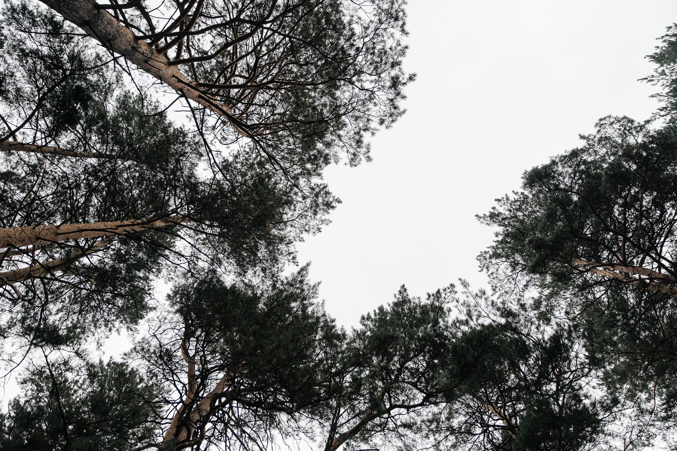 Валя & Саша 13.08.2021. Свадебный Фотограф Илья Чепайкин. Калининград