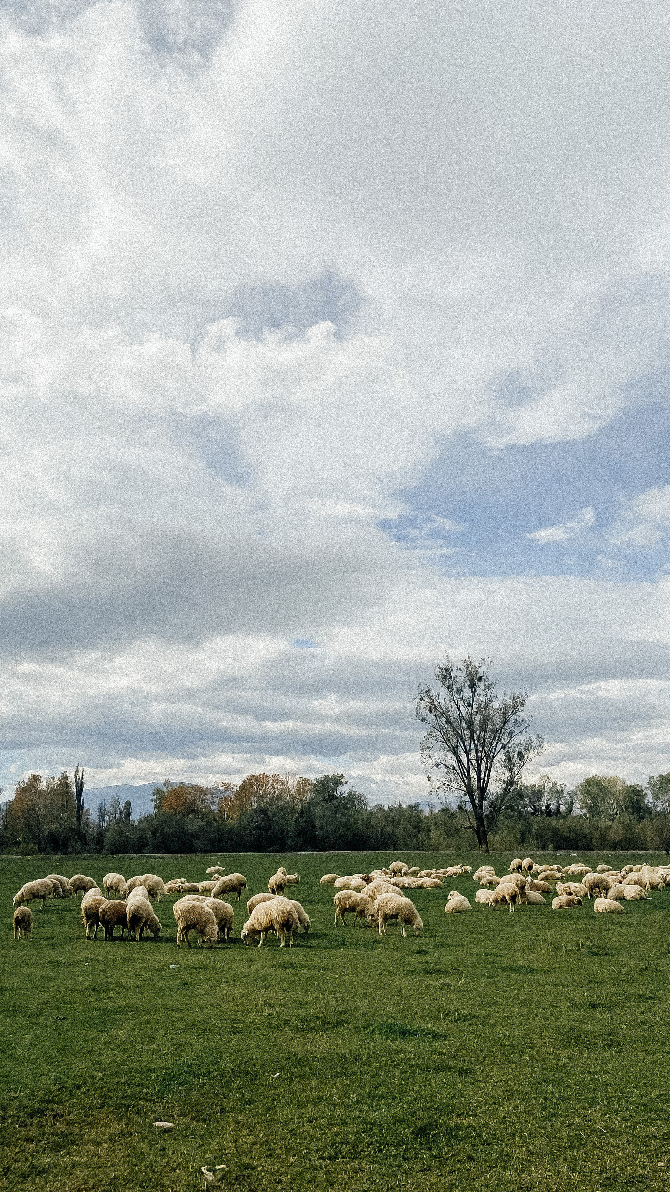 Авторский Тур по Грузии 04.05 — 10.05. Свадебный Фотограф Илья Чепайкин. Калининград