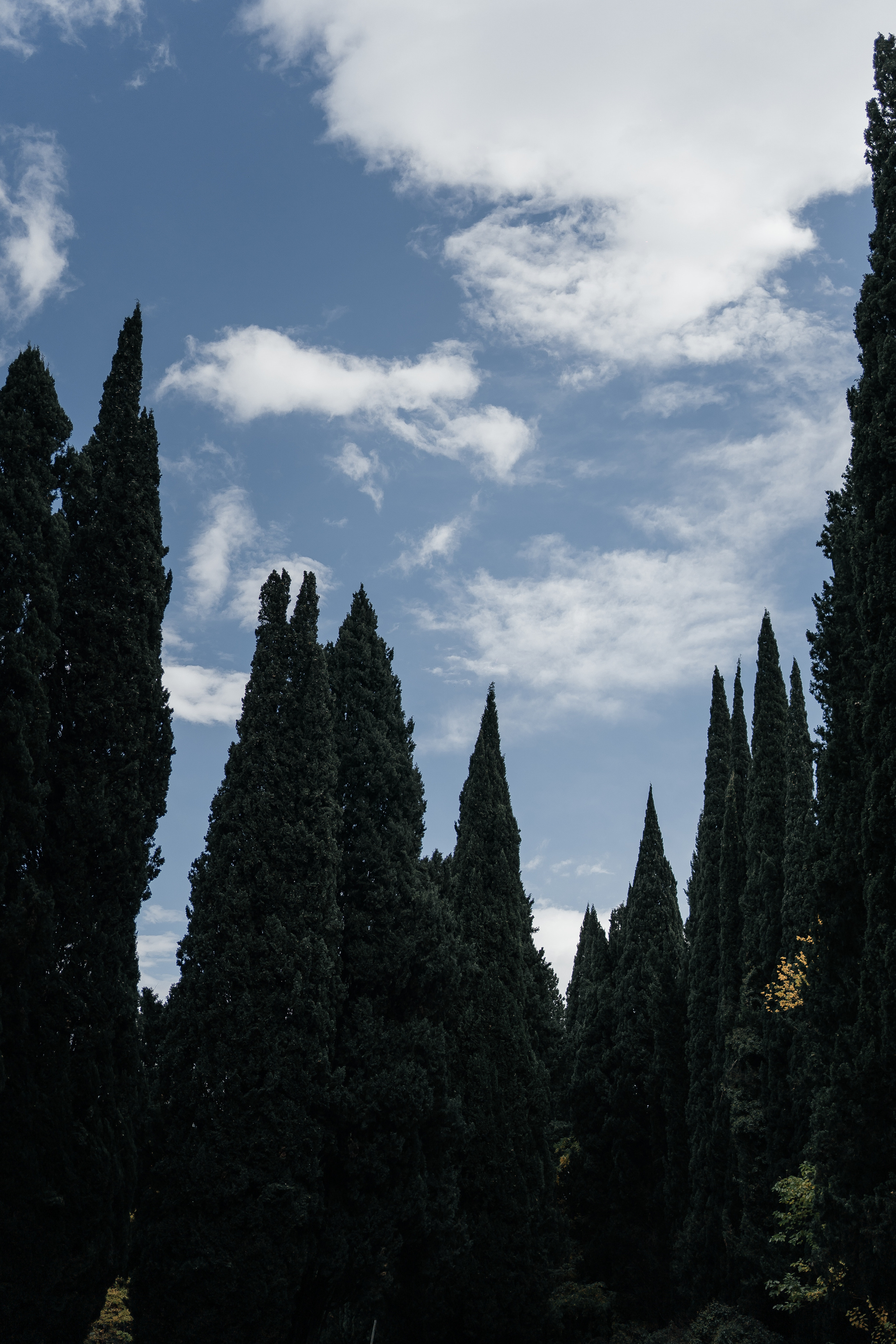 Авторский Тур по Грузии 04.05 — 10.05. Свадебный Фотограф Илья Чепайкин. Калининград