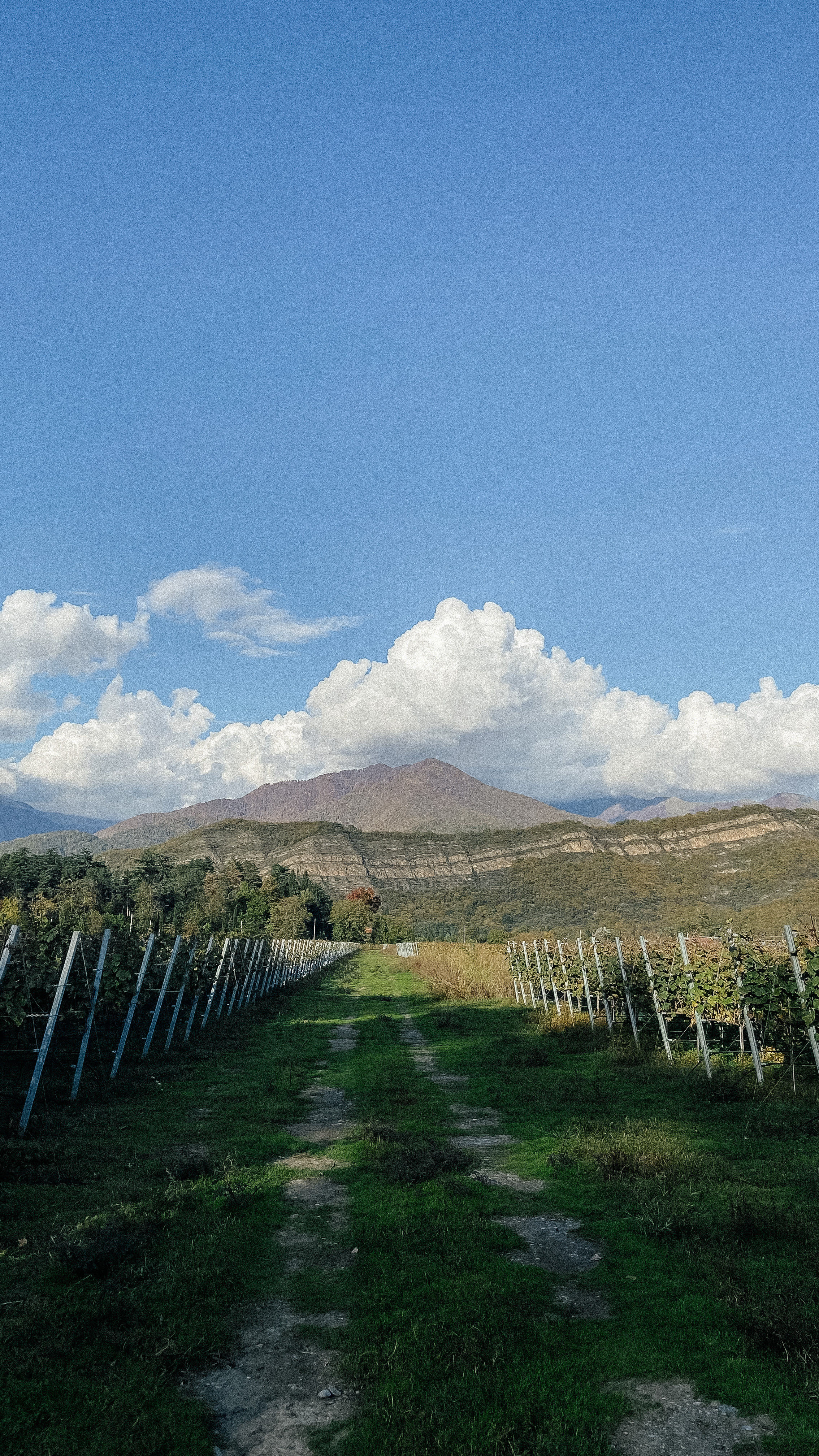 Авторский Тур по Грузии 04.05 — 10.05. Свадебный Фотограф Илья Чепайкин. Калининград