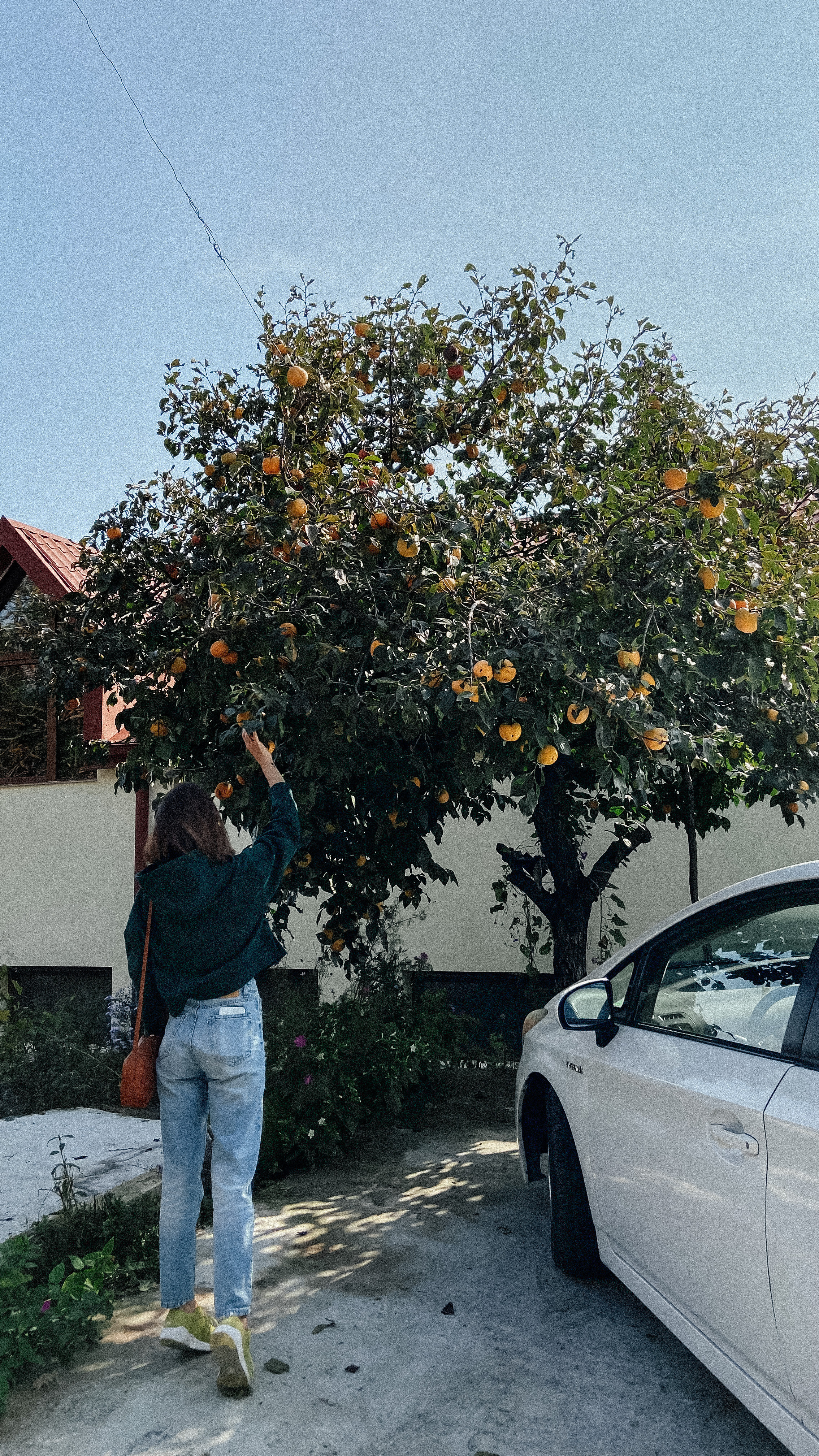 Авторский Тур по Грузии 04.05 — 10.05. Свадебный Фотограф Илья Чепайкин. Калининград