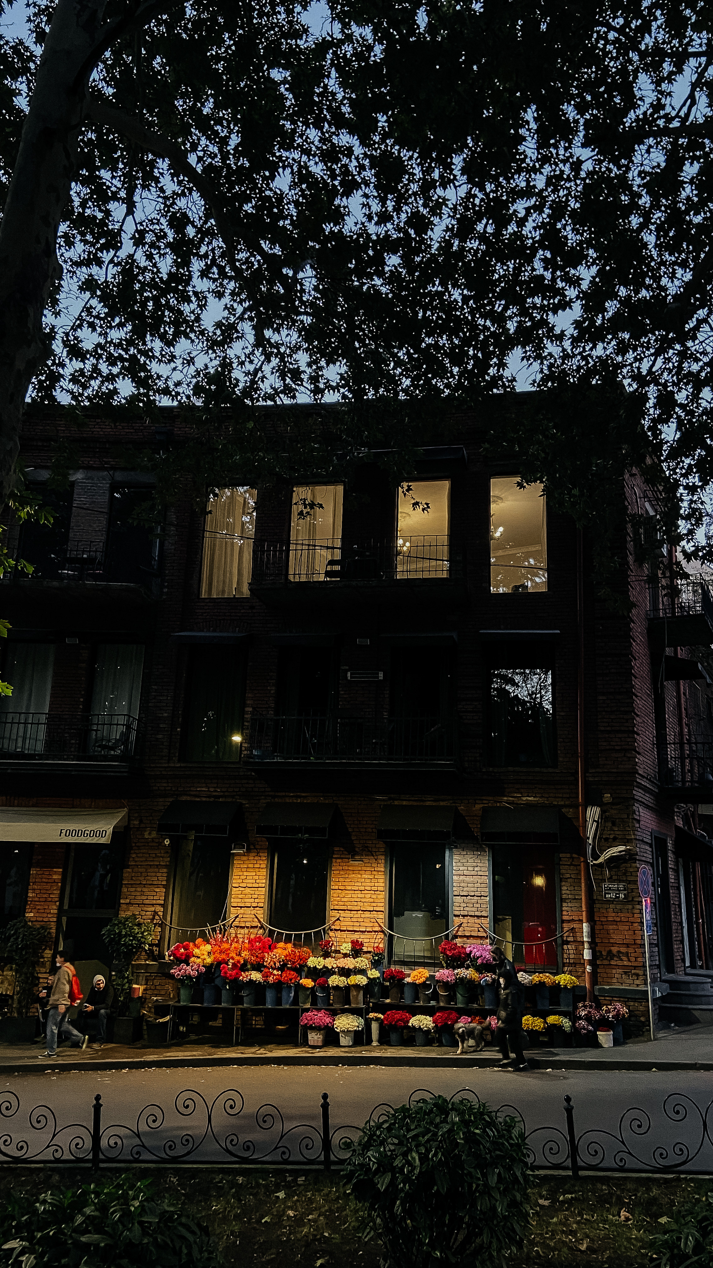 Авторский Тур по Грузии 04.05 — 10.05. Свадебный Фотограф Илья Чепайкин. Калининград