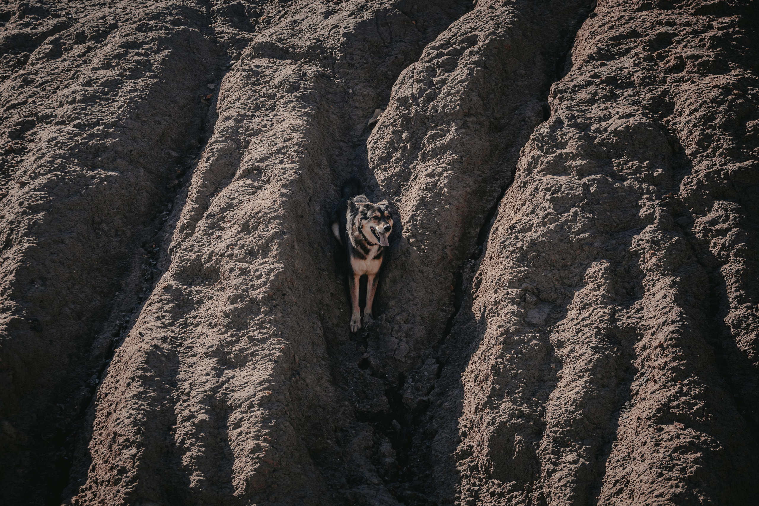 Кондуки. Фотограф-анималист Татьяна Степанова