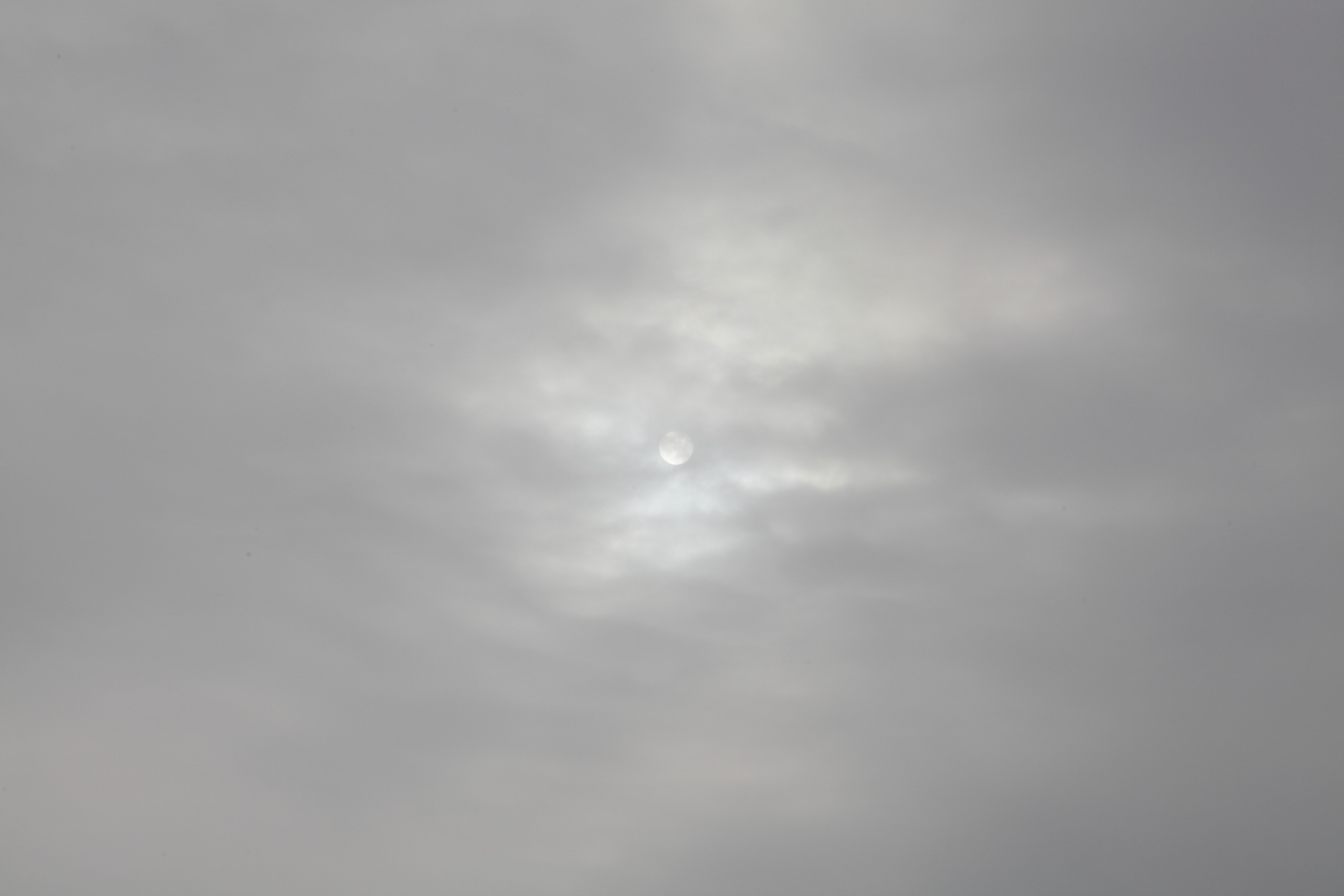 Ареал обитания. Фотографии Саши Любина