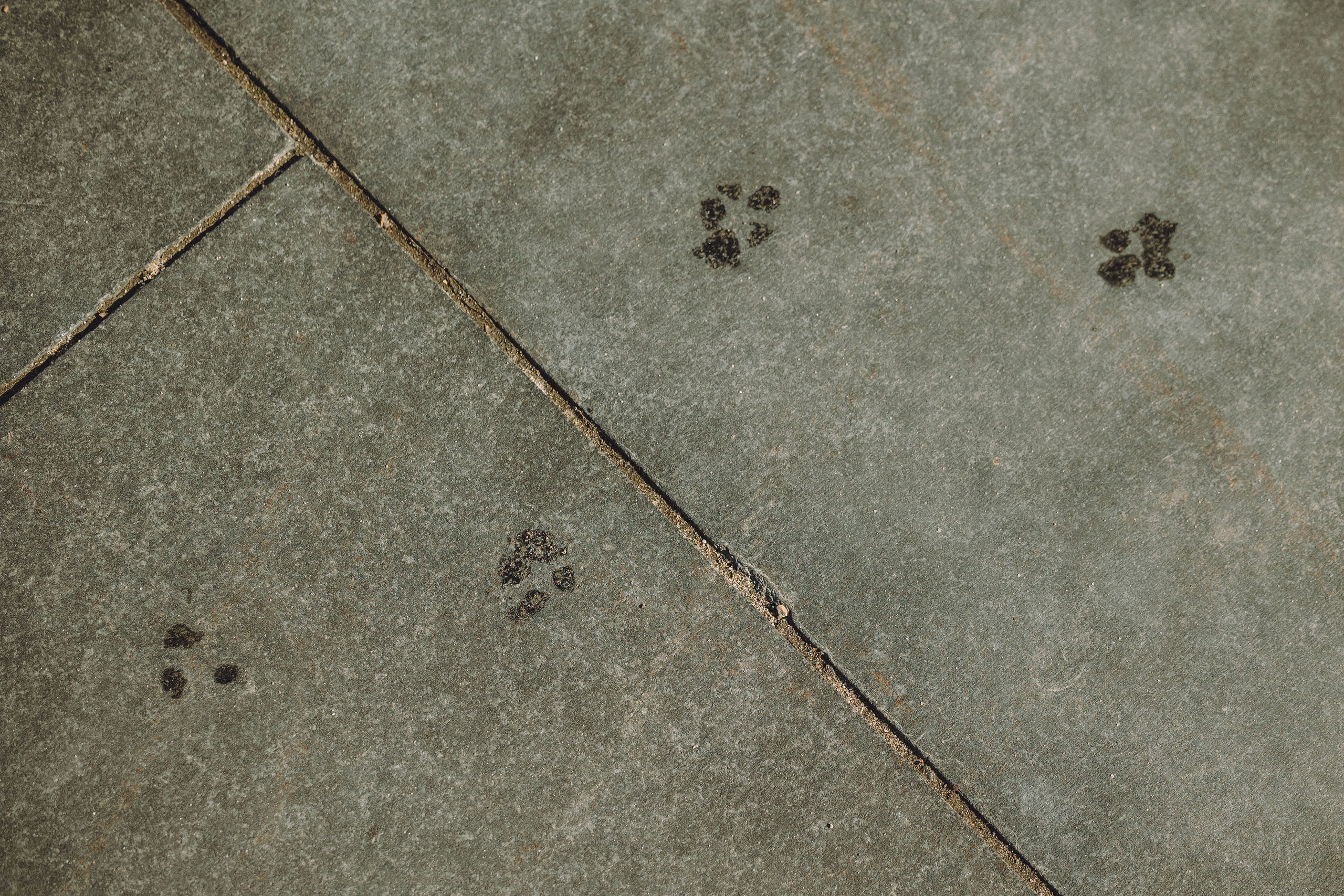 Марья и Буба