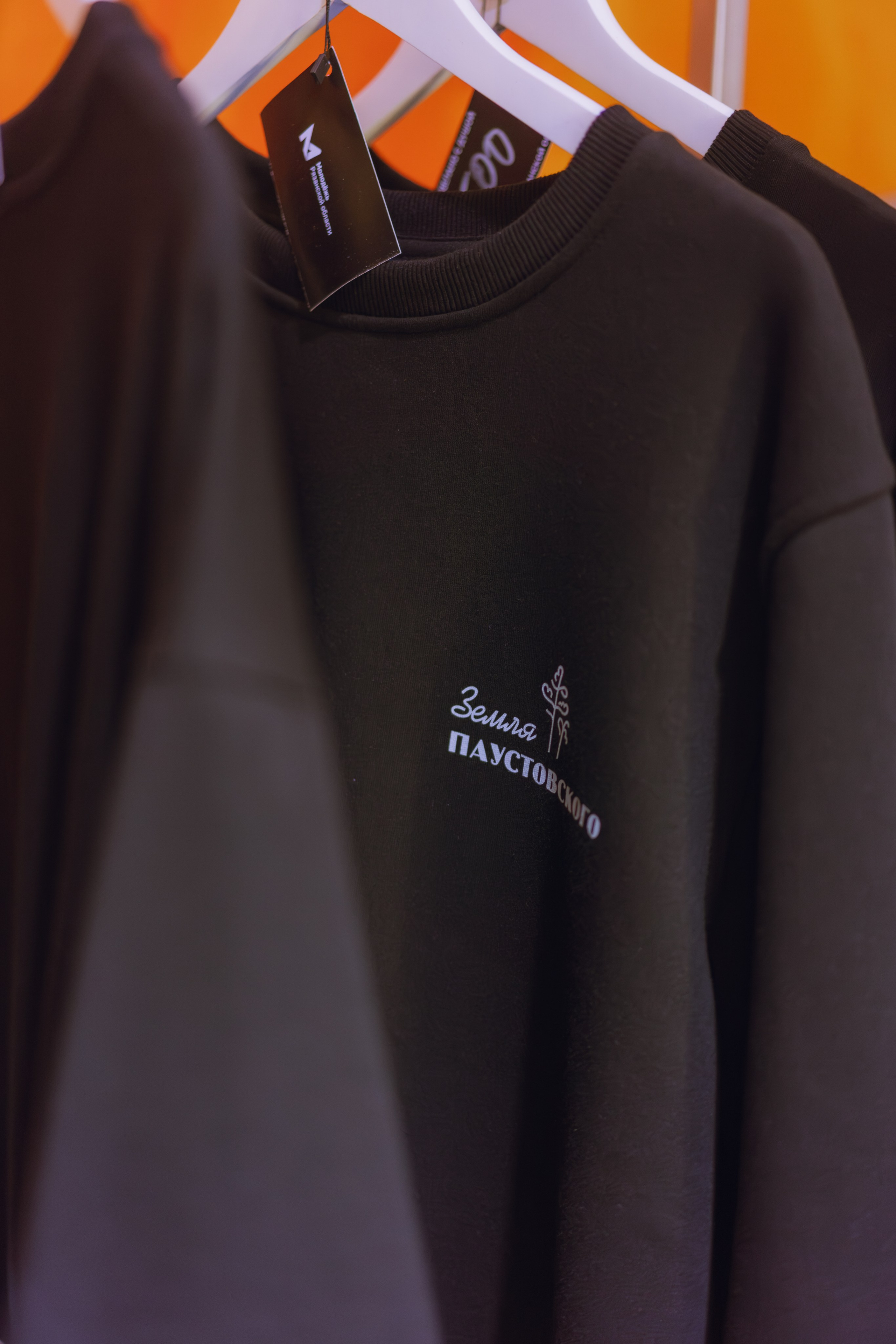 Окружной туристский слёт «Больше, чем путешествие» 2025. Фотограф Надежда Погребняк | Рязань | Москва