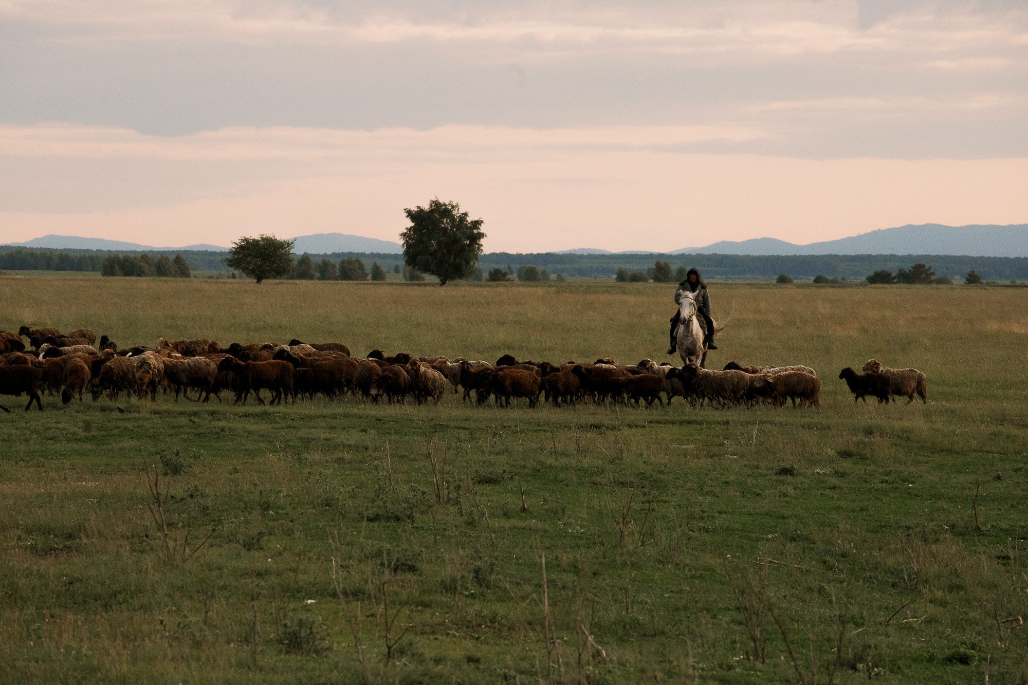 Алексей и Светлана. Свадебный и семейный фотограф в Челябинске