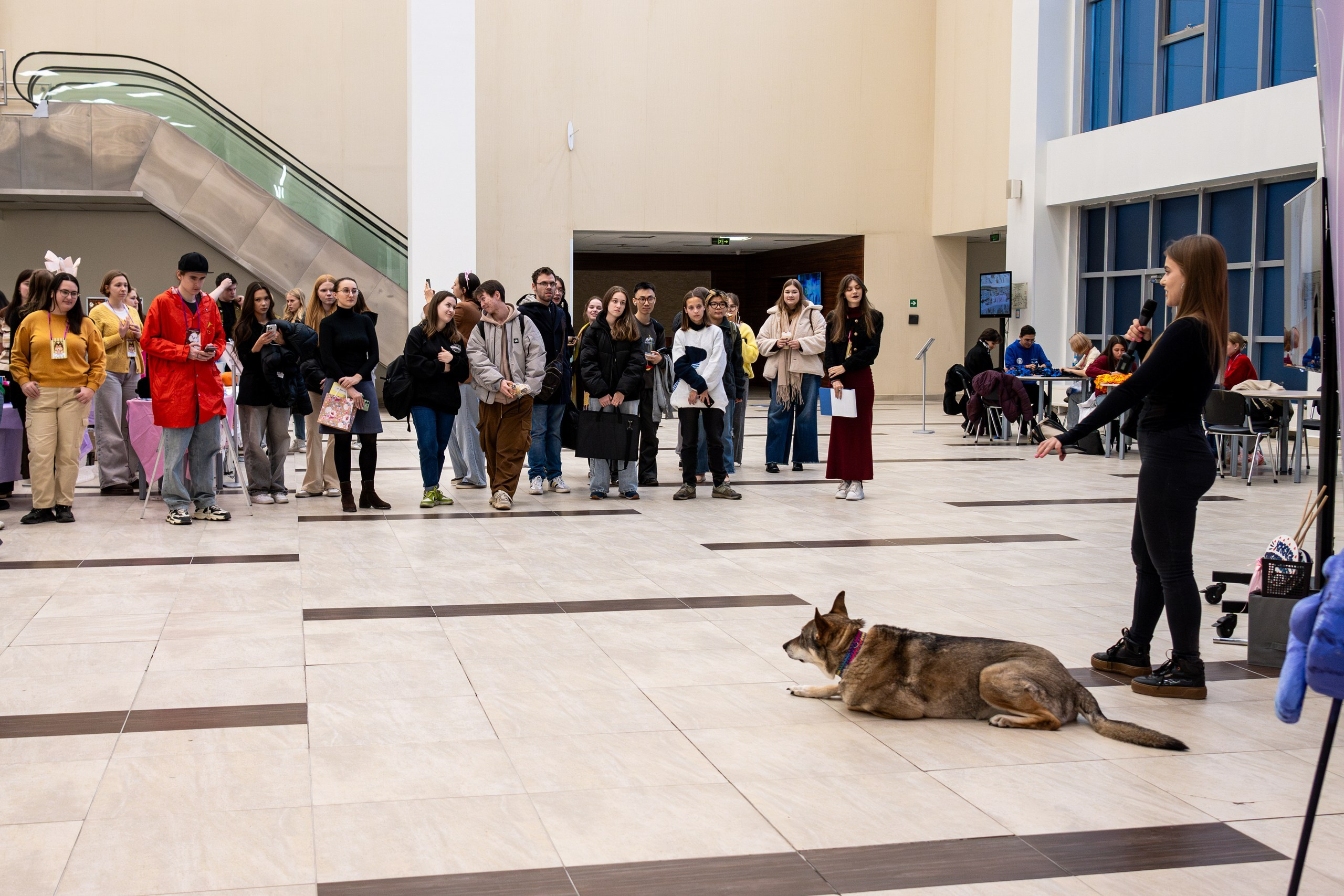 Благотворительная ярмарка «ЯрМУРка гав-версия». Репортажный и портретный фотограф во Владивостоке Денис Седов