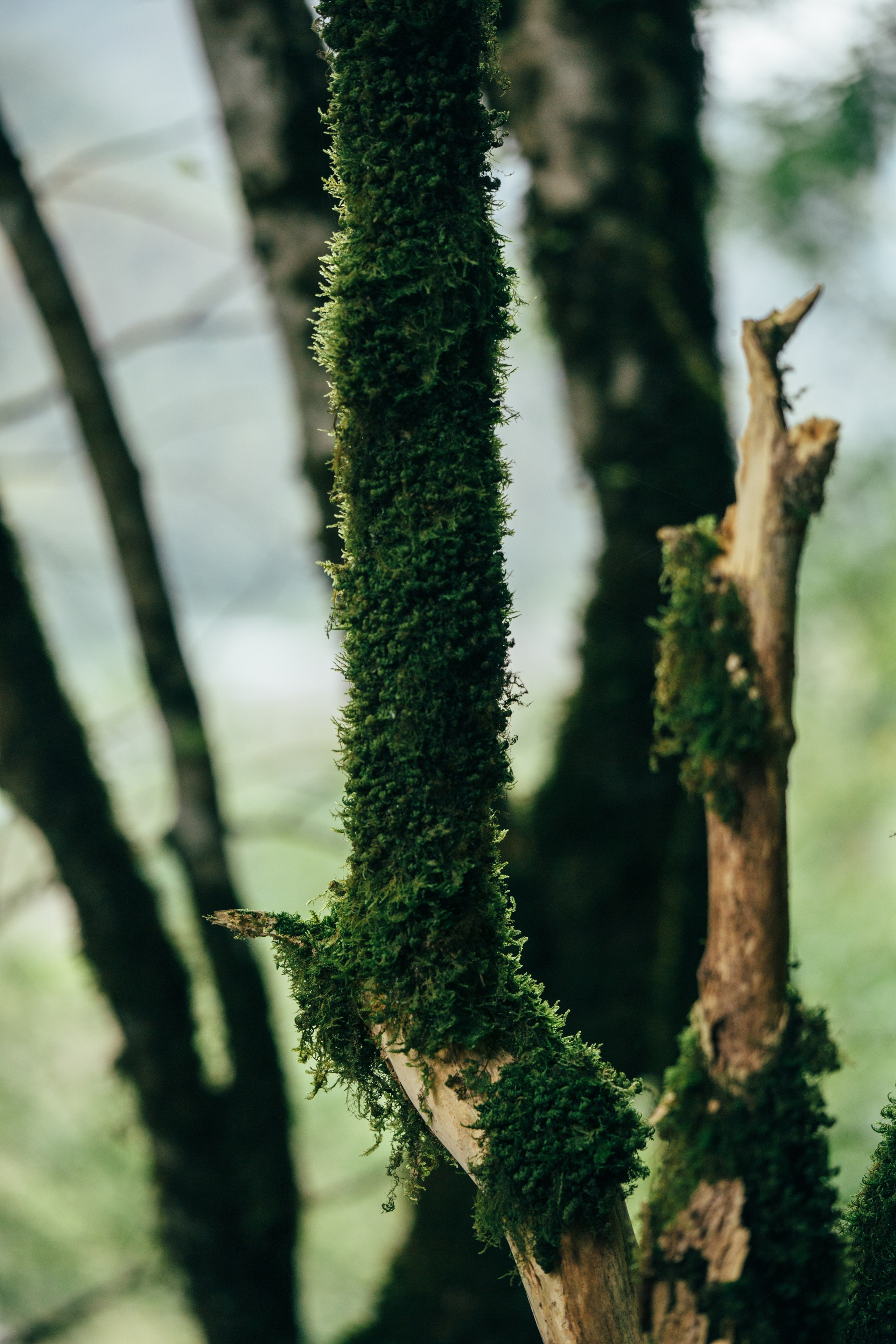 Оштенский Кордон. Семейный фотограф в Белгороде