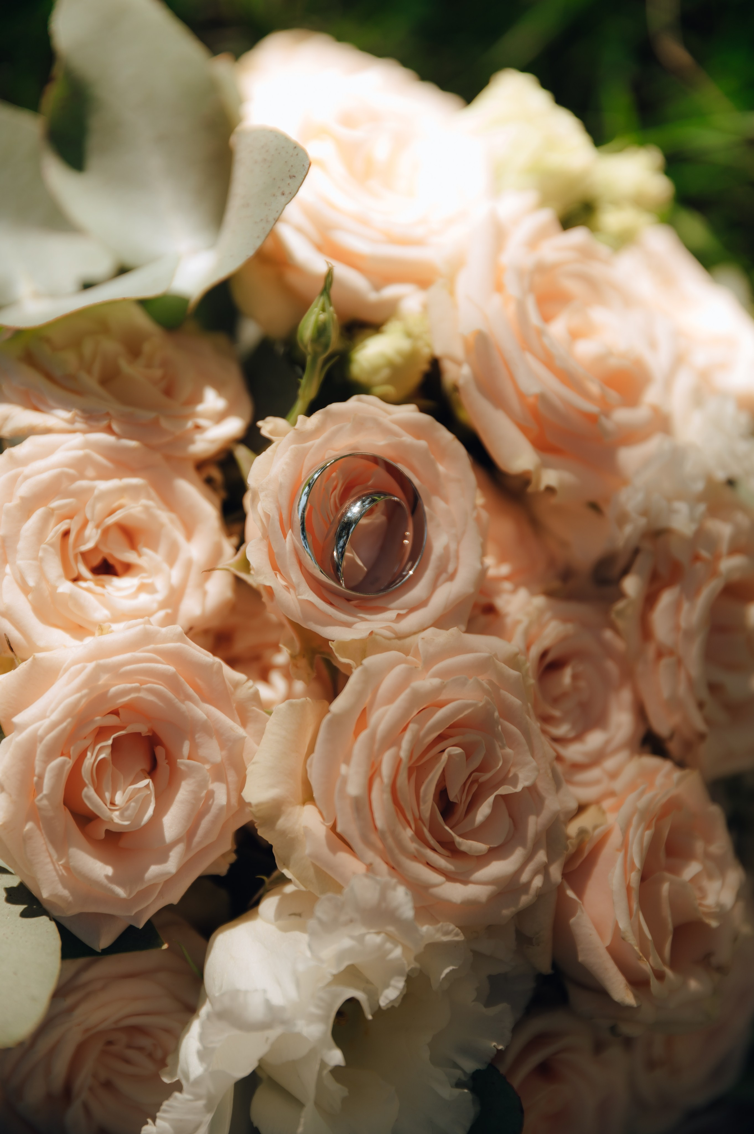 Любовная любовь в лесах Юганца. Детский и семейный фотограф Катерина Мишина