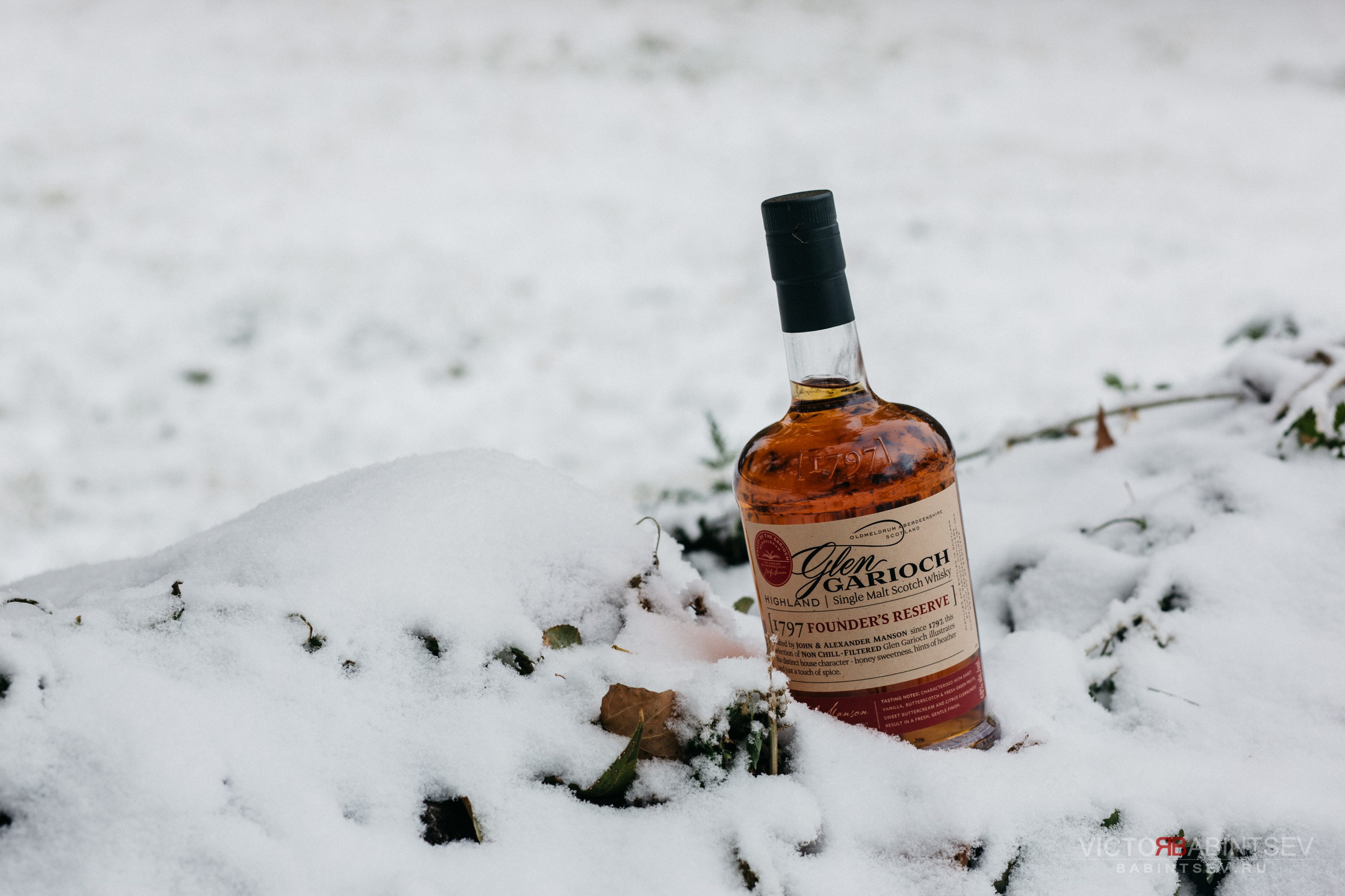 Whisky. Семейный и репортажной фотограф в Красноярске и Москве Виктор Бабинцев