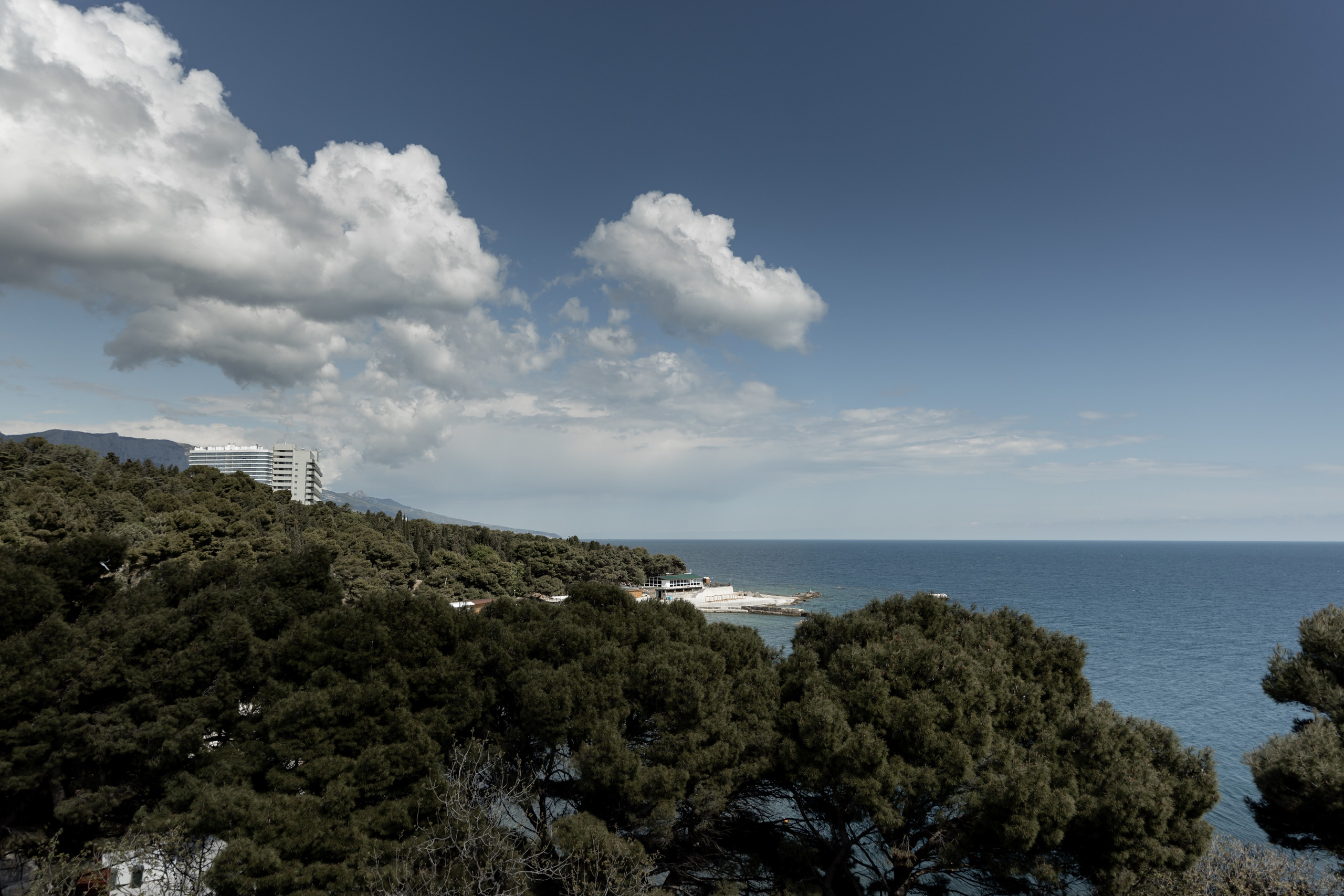 Лучиано. Олег и Юлия. Свадебный и семейный фотограф в Крыму и Севастополе Дарья Королева