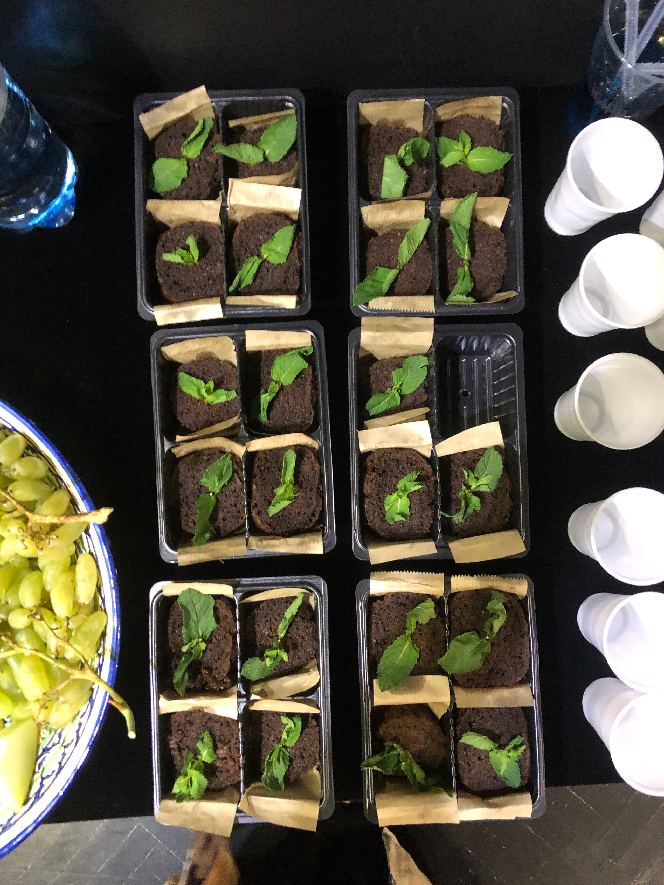 «Трактат о Корчевателе». Современная художница Елена Алексеева (Alpha_Vita)