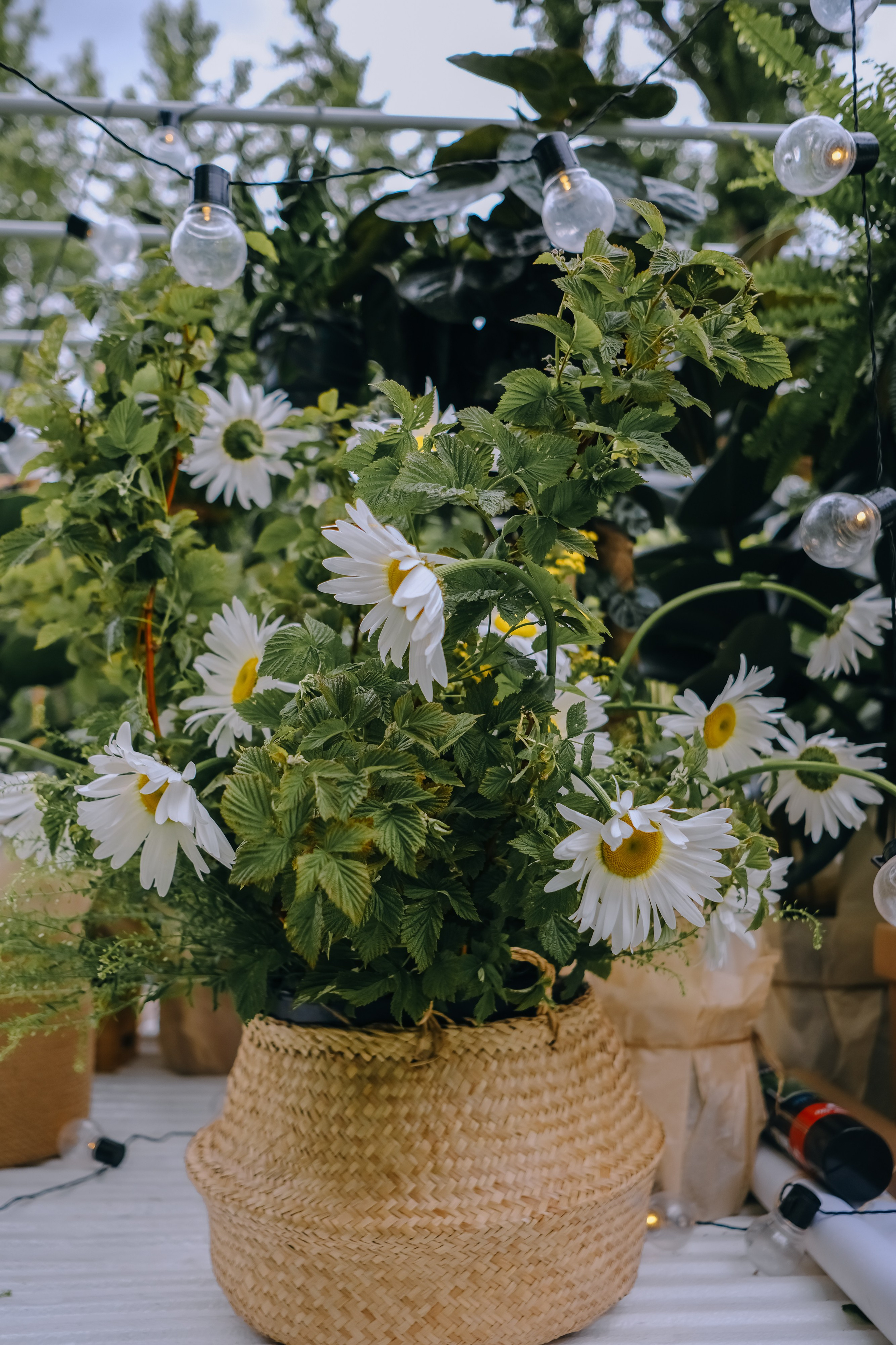 VeterFest 2023. Фотограф в Москве (готова приехать к вам в город)