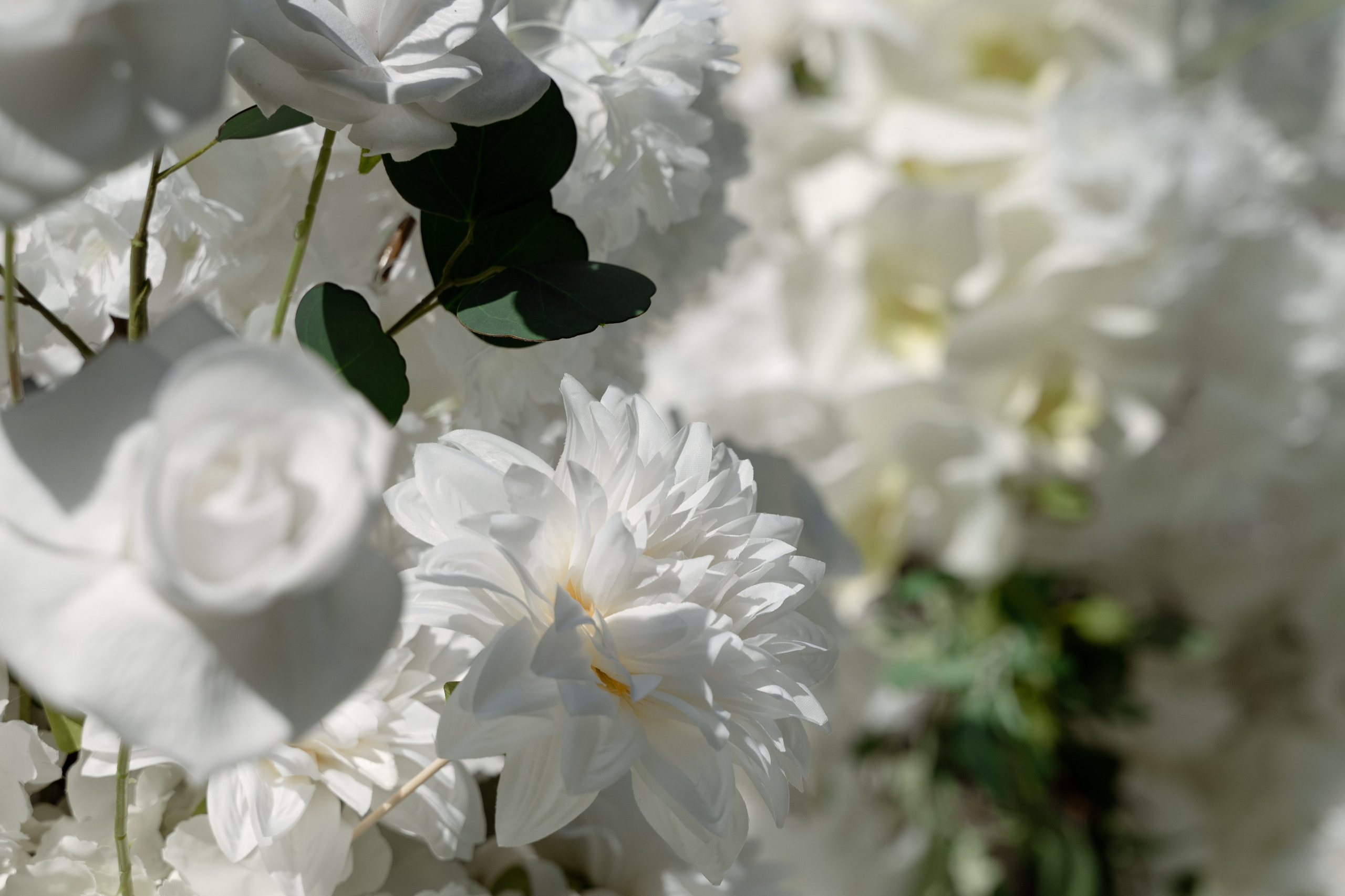 Дарья & Александр. Свадебный и семейный фотограф Тюмень Екатеринбург Москвина Алёна