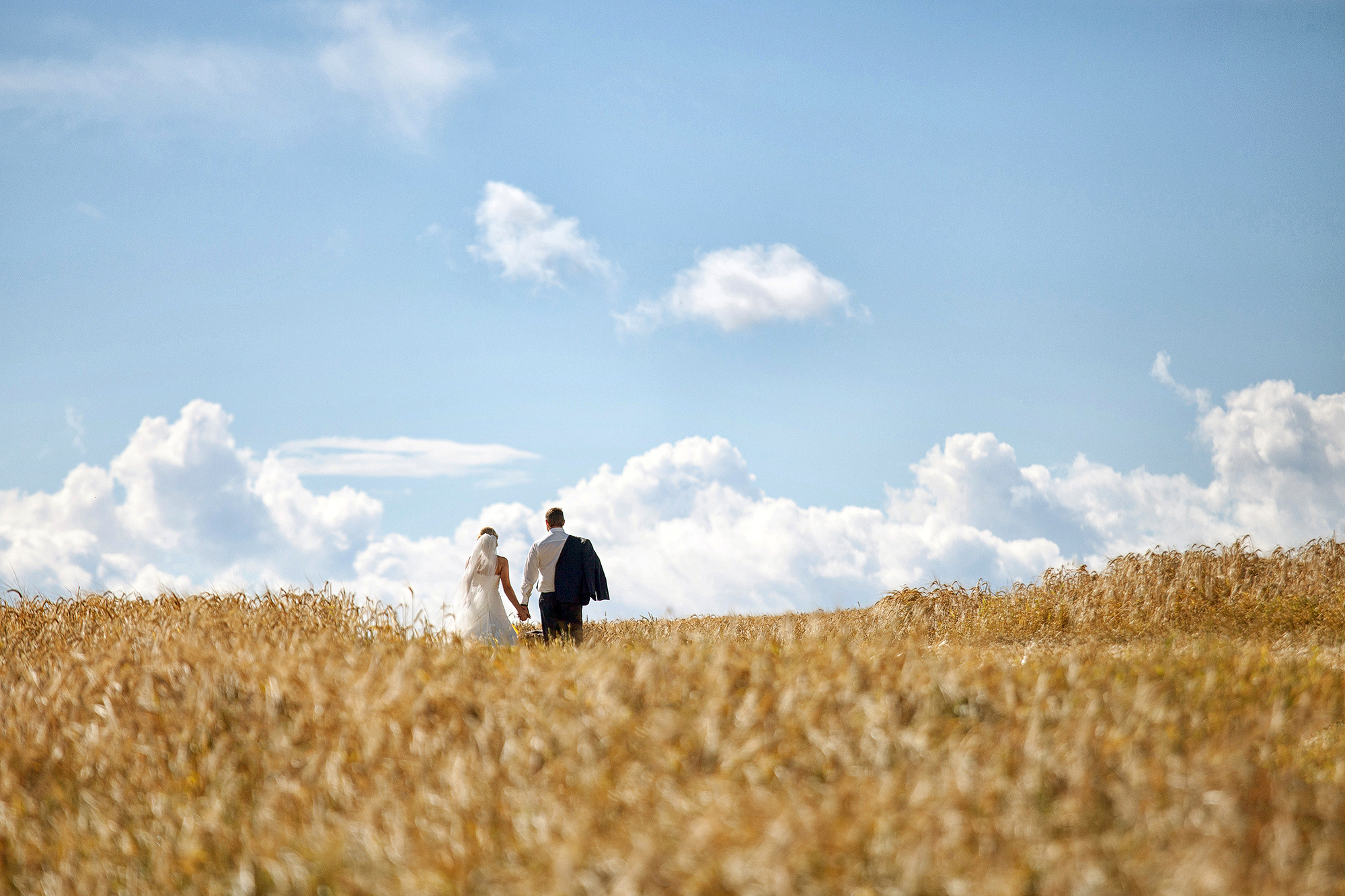 Свадебная фотосъемка. Свадебный, семейный, предметный фотограф в Минске Александр Шолох