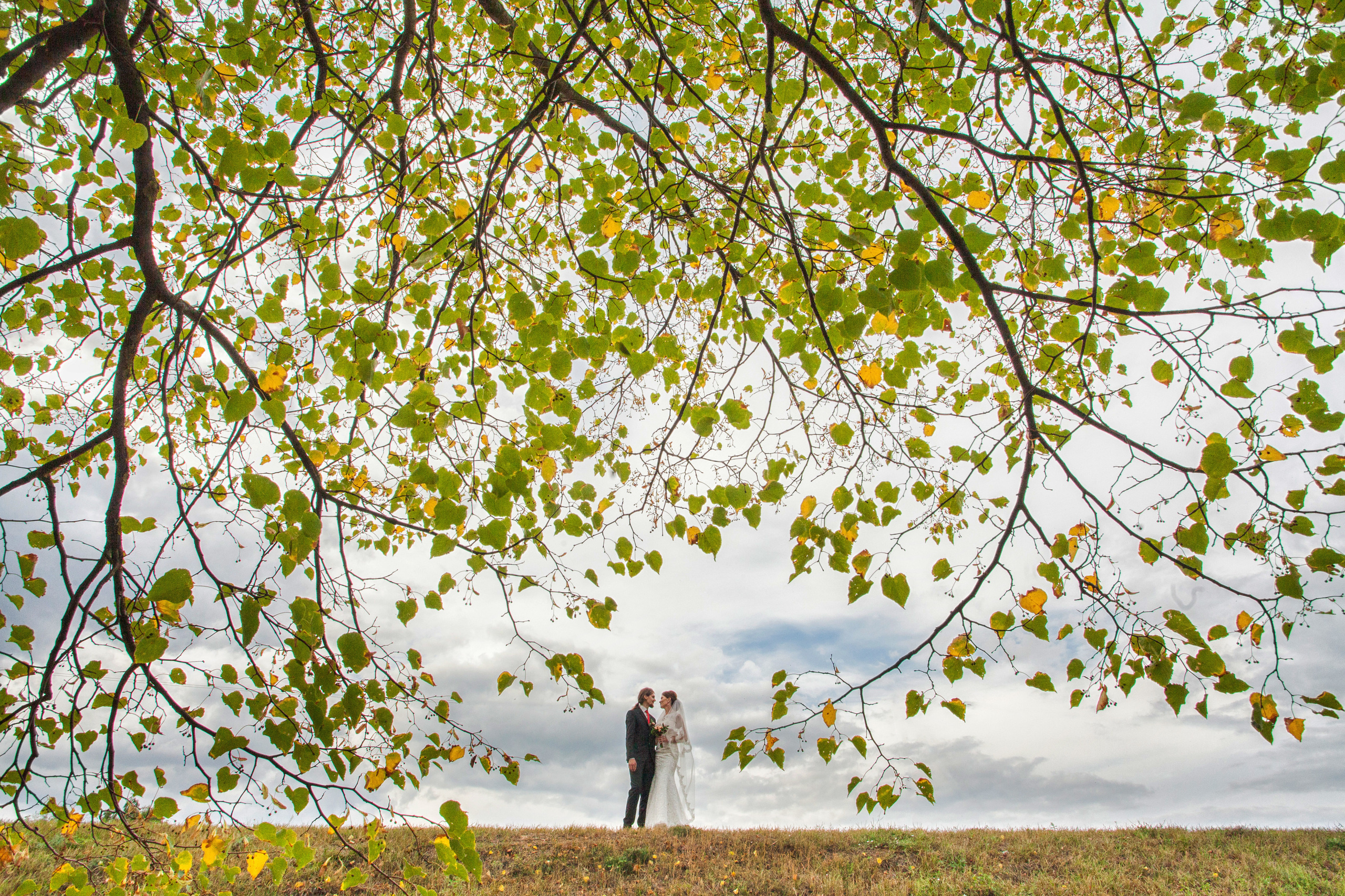 Свадебный, семейный, предметный фотограф в Минске Александр Шолох