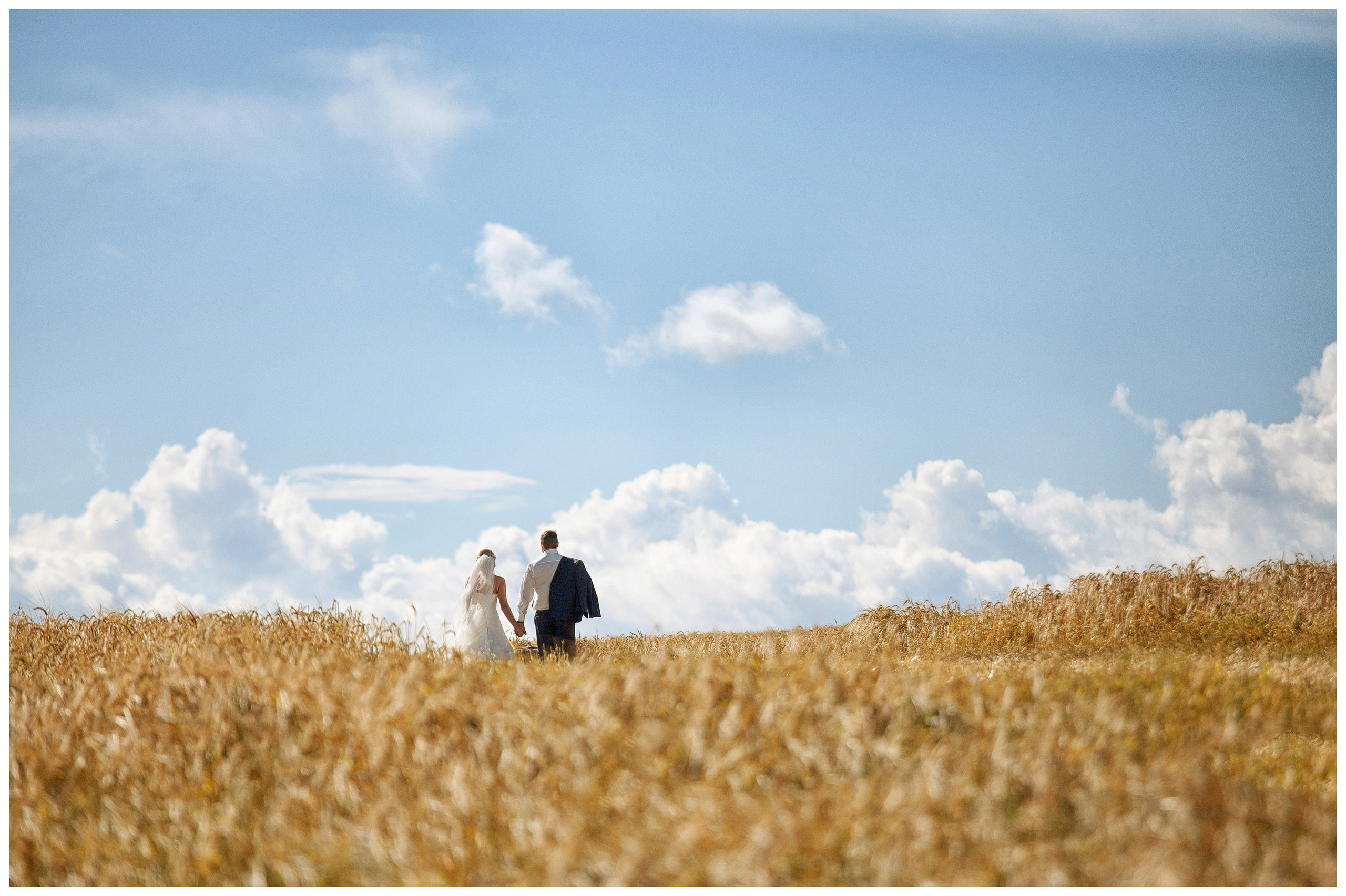 Свадебный, семейный, предметный фотограф в Минске Александр Шолох
