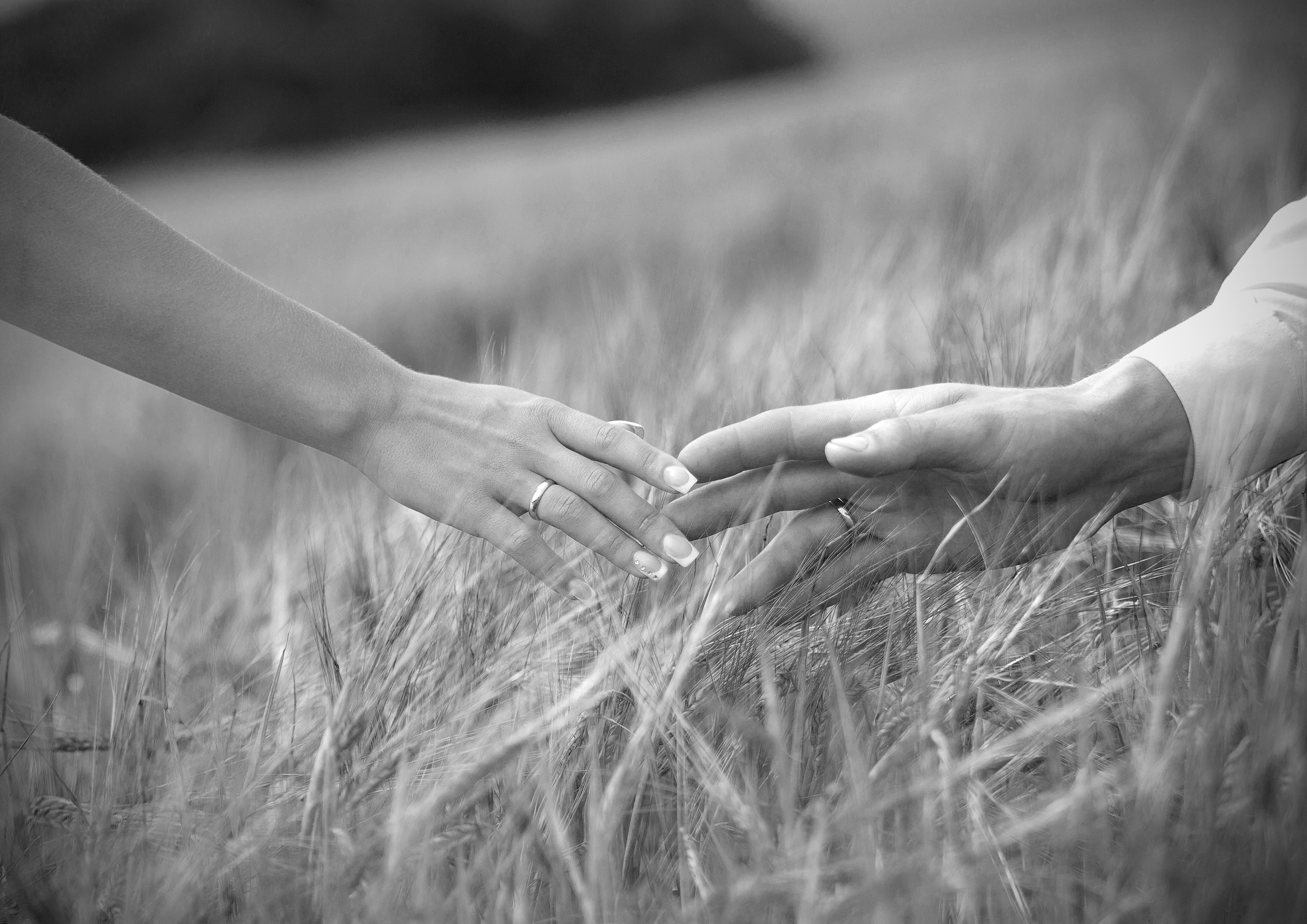 Свадебный, семейный, предметный фотограф в Минске Александр Шолох