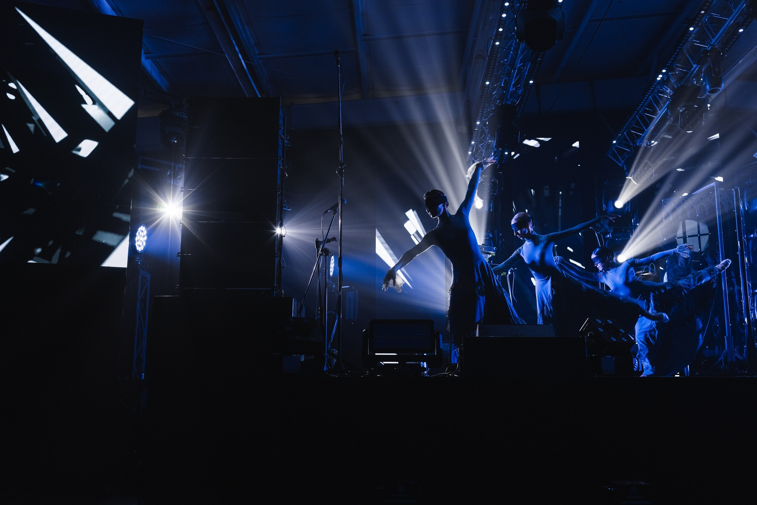 MedStandart 10 year — star Elka. Chernenko Photograpy